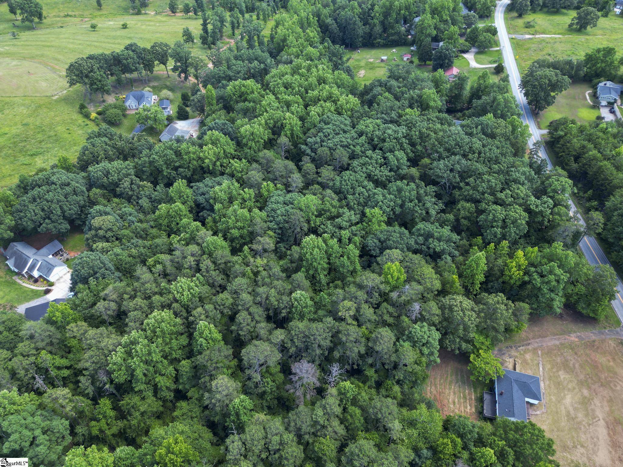 Travelers Rest, SC 29690,Tract 1 Tigerville Road