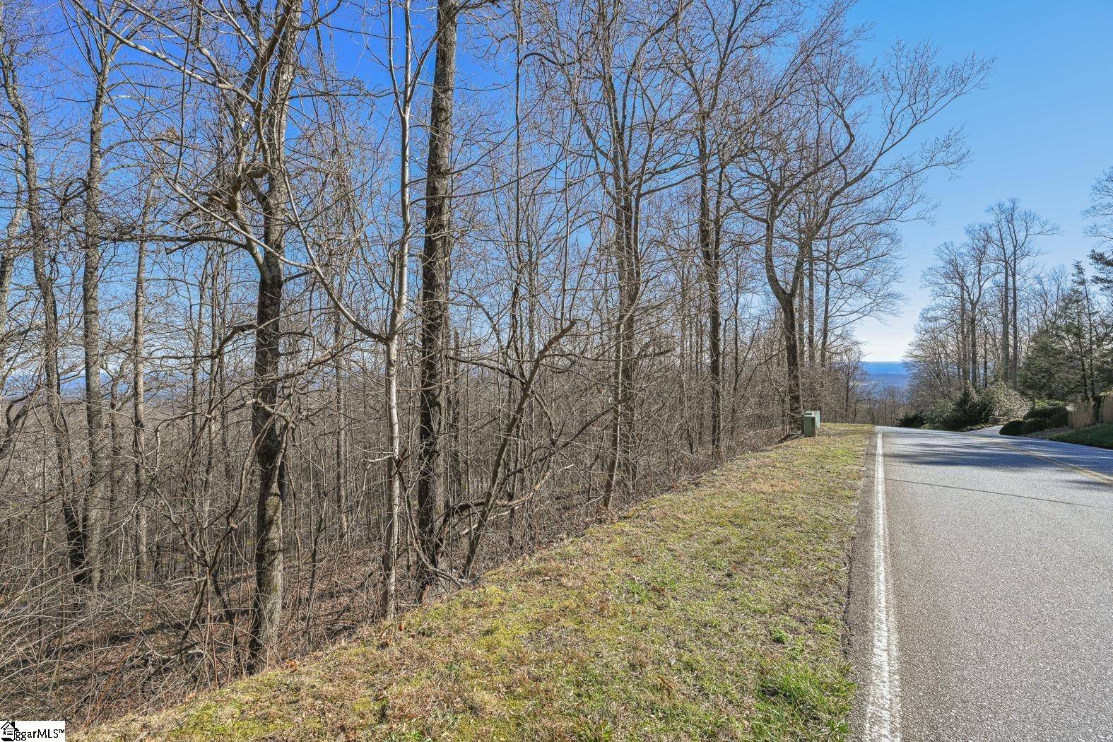 Landrum, SC 29356,35 Foggy Cut Lane