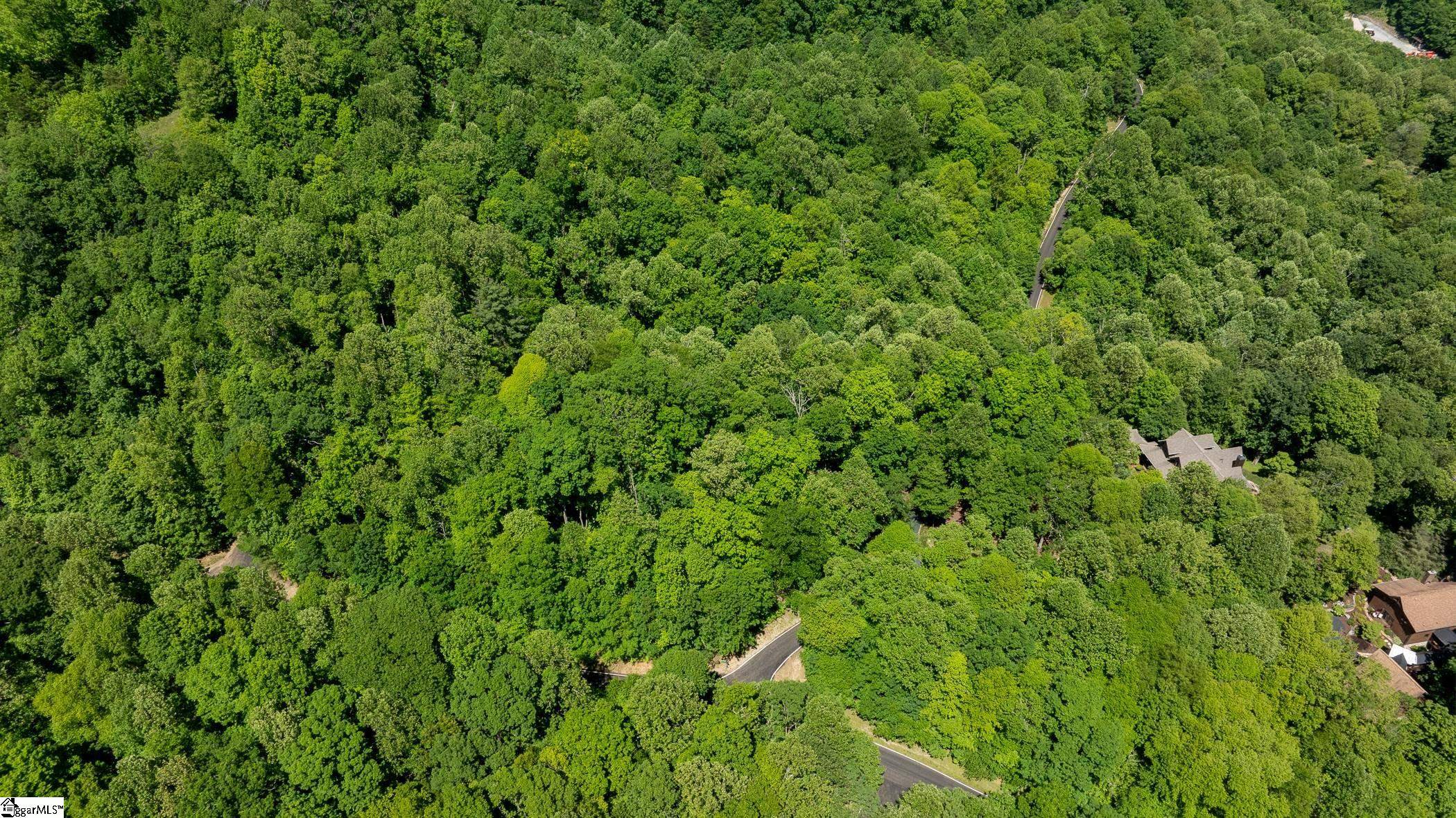 Landrum, SC 29356,149 Lacey Fern Way