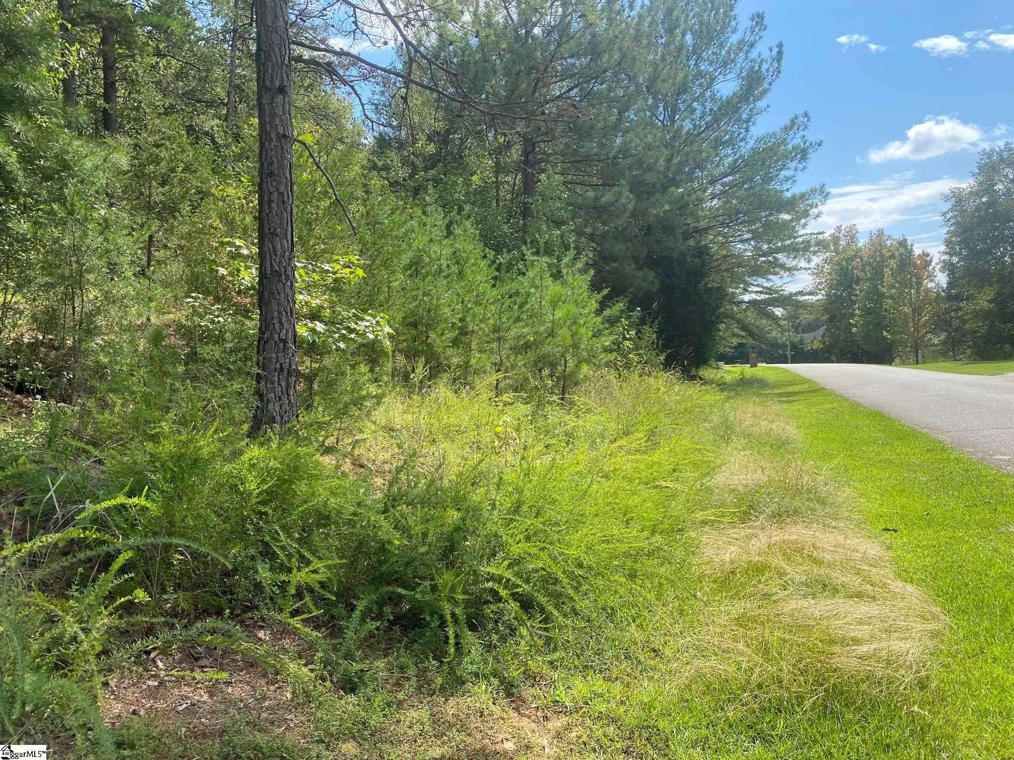 Laurens, SC 29360,203 W Peninsula Drive