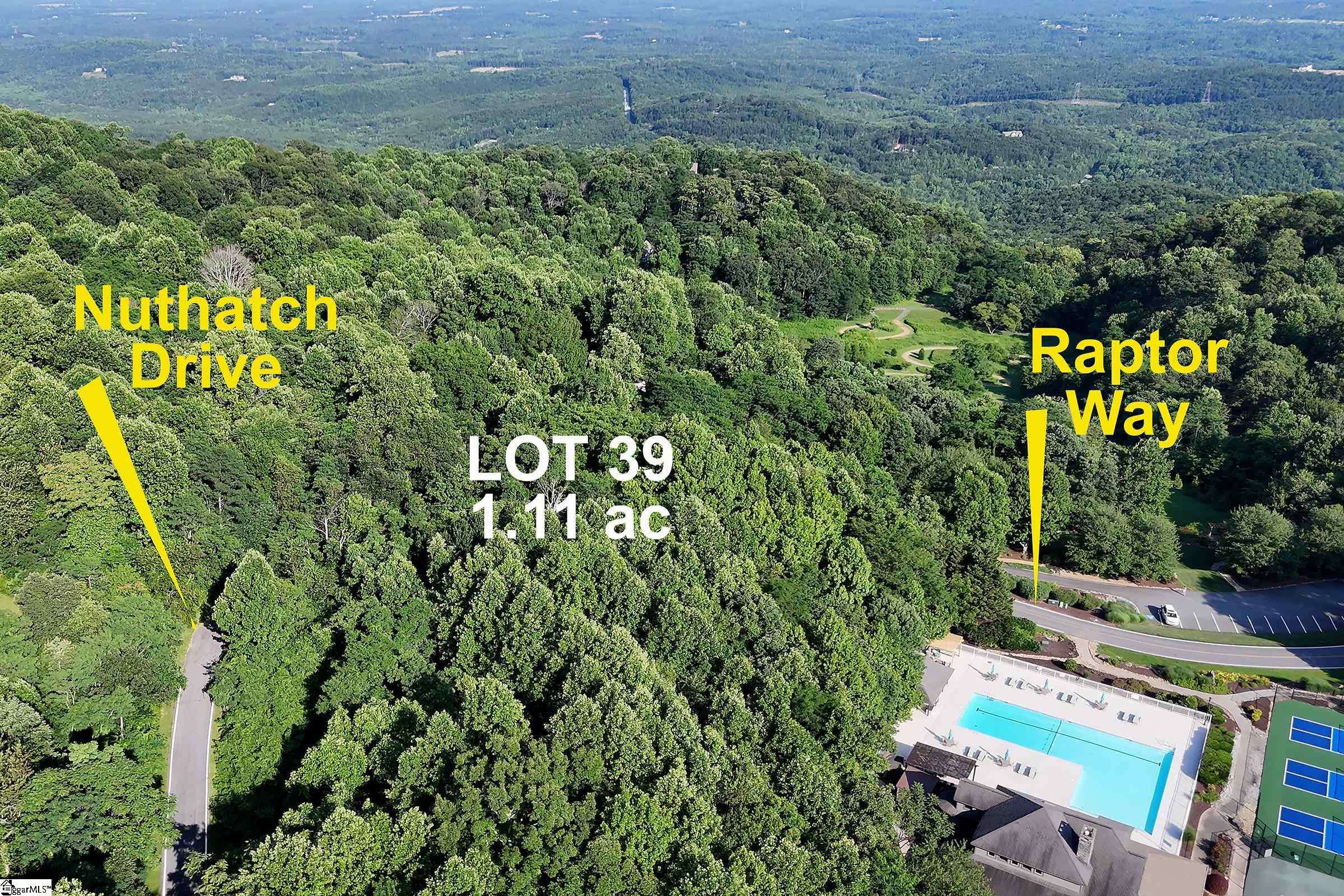 Landrum, SC 29356,39 Raptor Way
