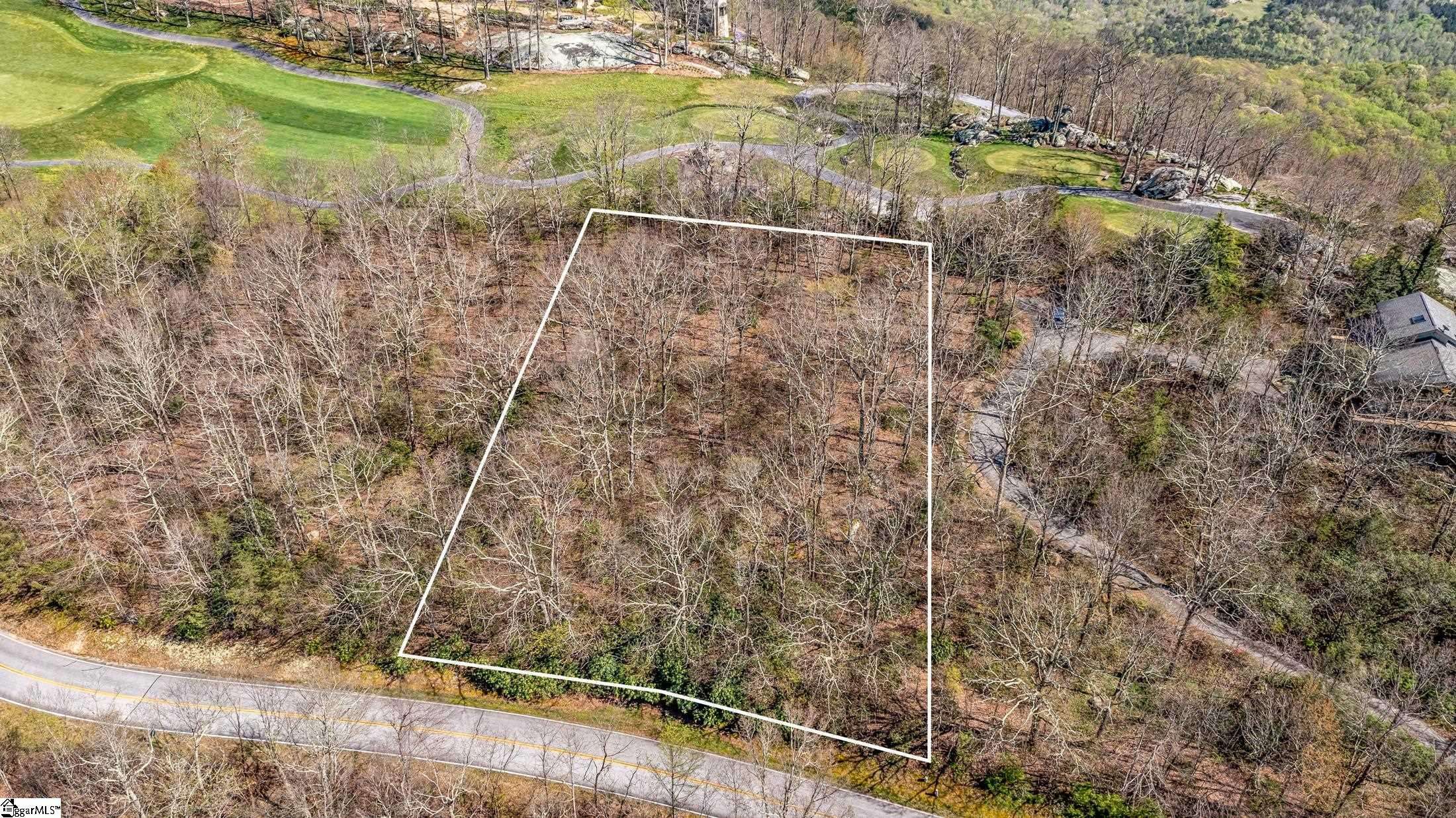 Landrum, SC 29356-3329,Glassy Ridge Road