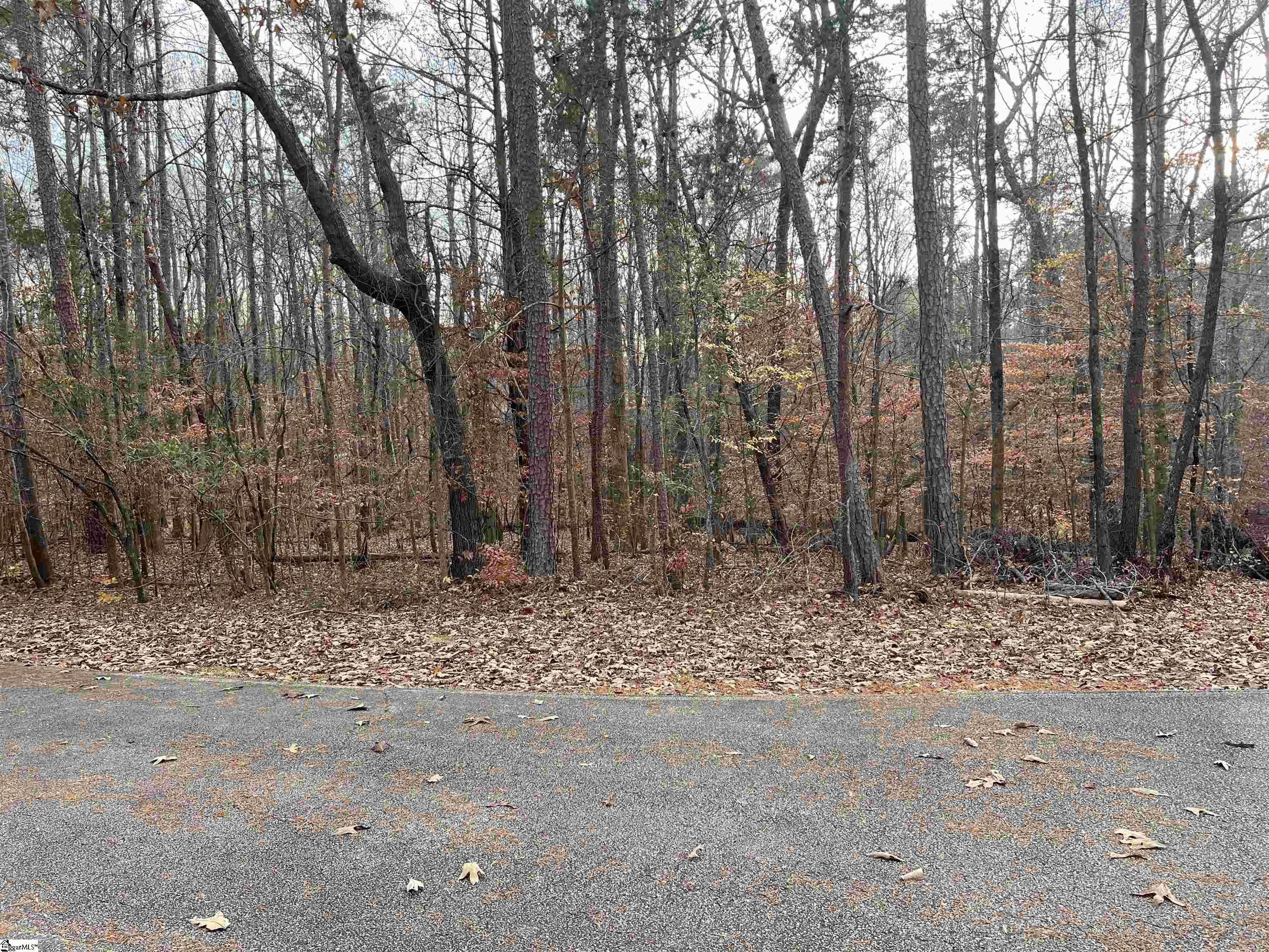 Westminster, SC 29672,205 Apricot Lane