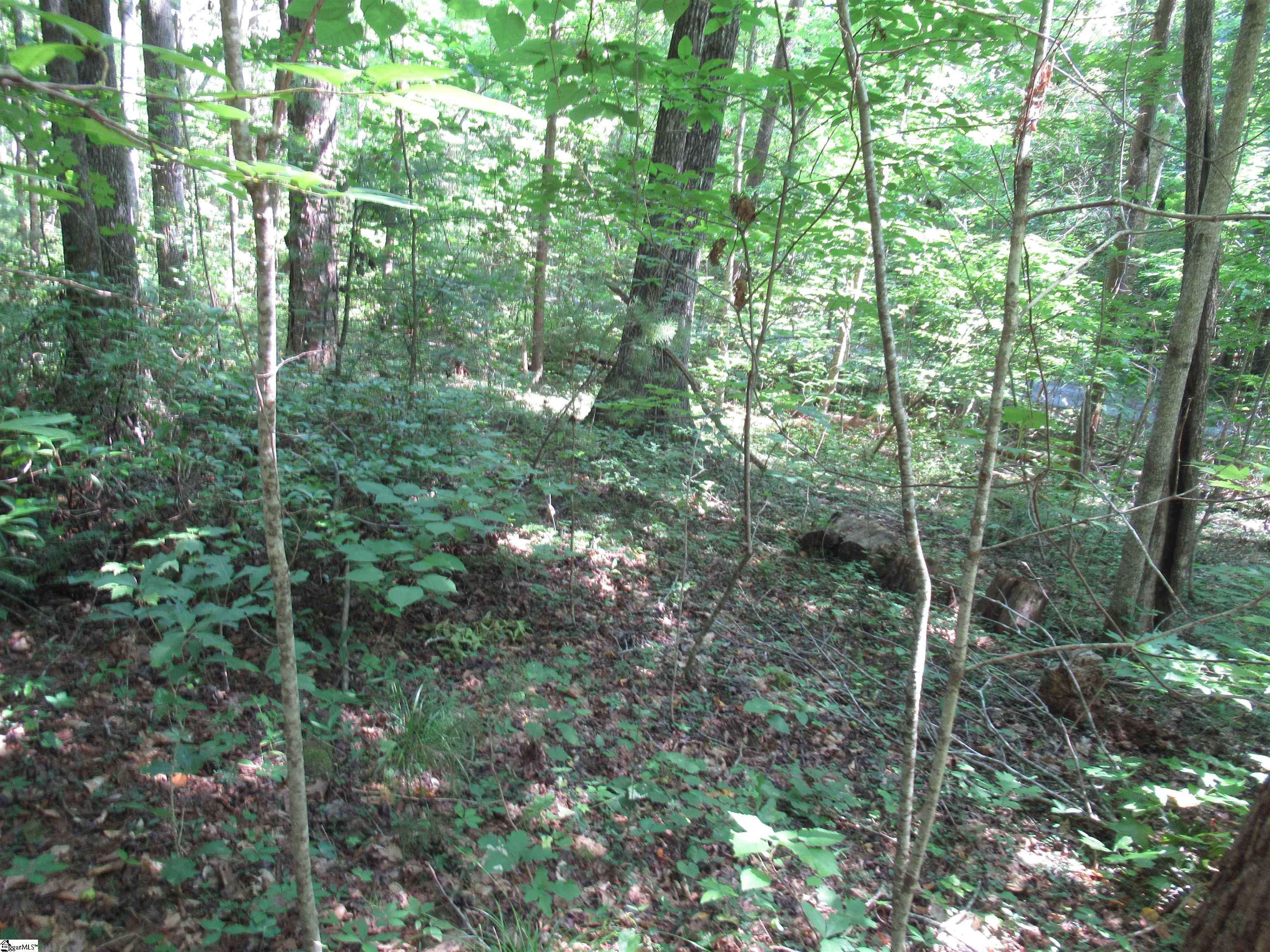 Pickens, SC 29671,00 Gauley Falls Road