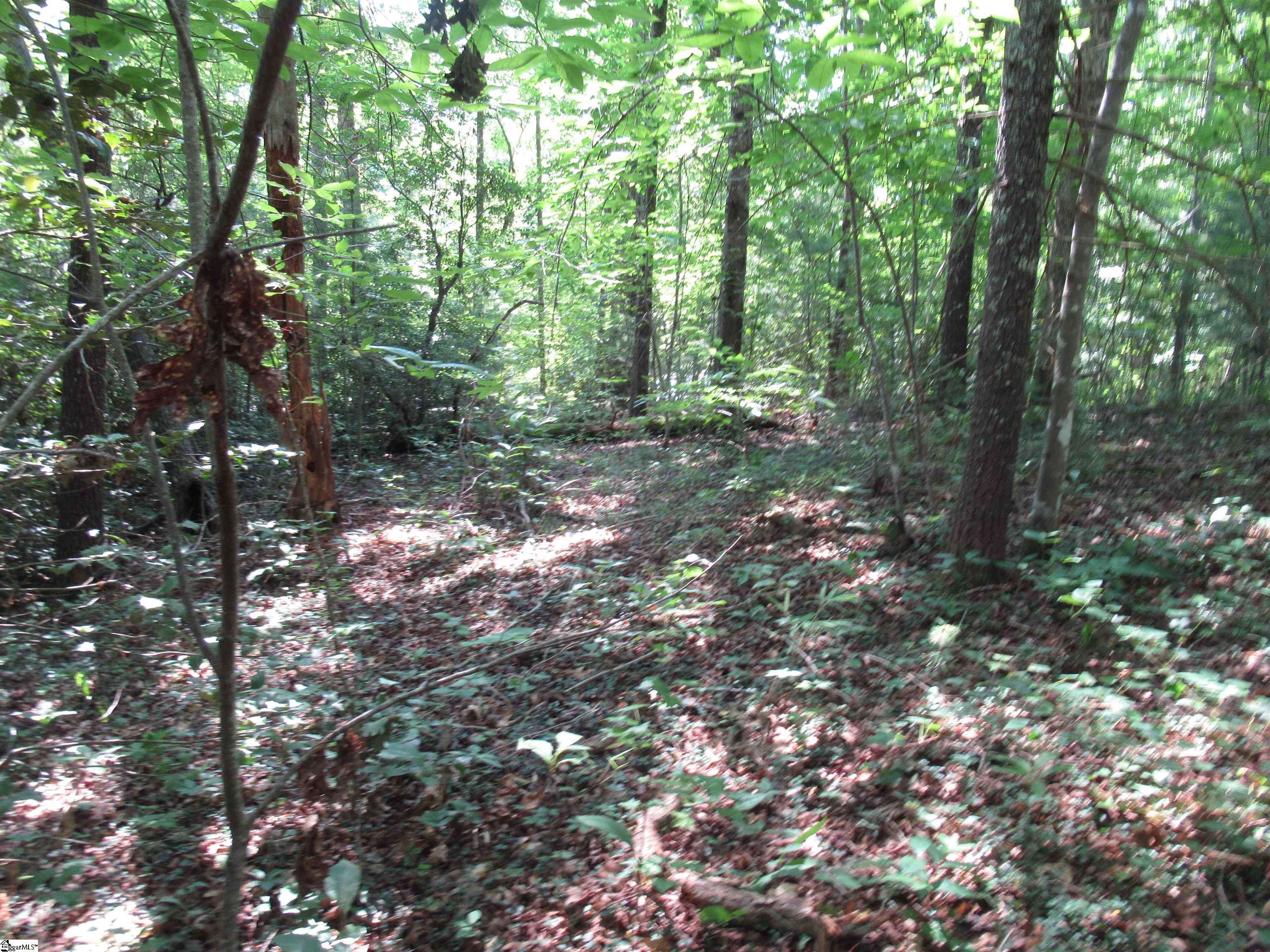Pickens, SC 29671,00 Gauley Falls Road