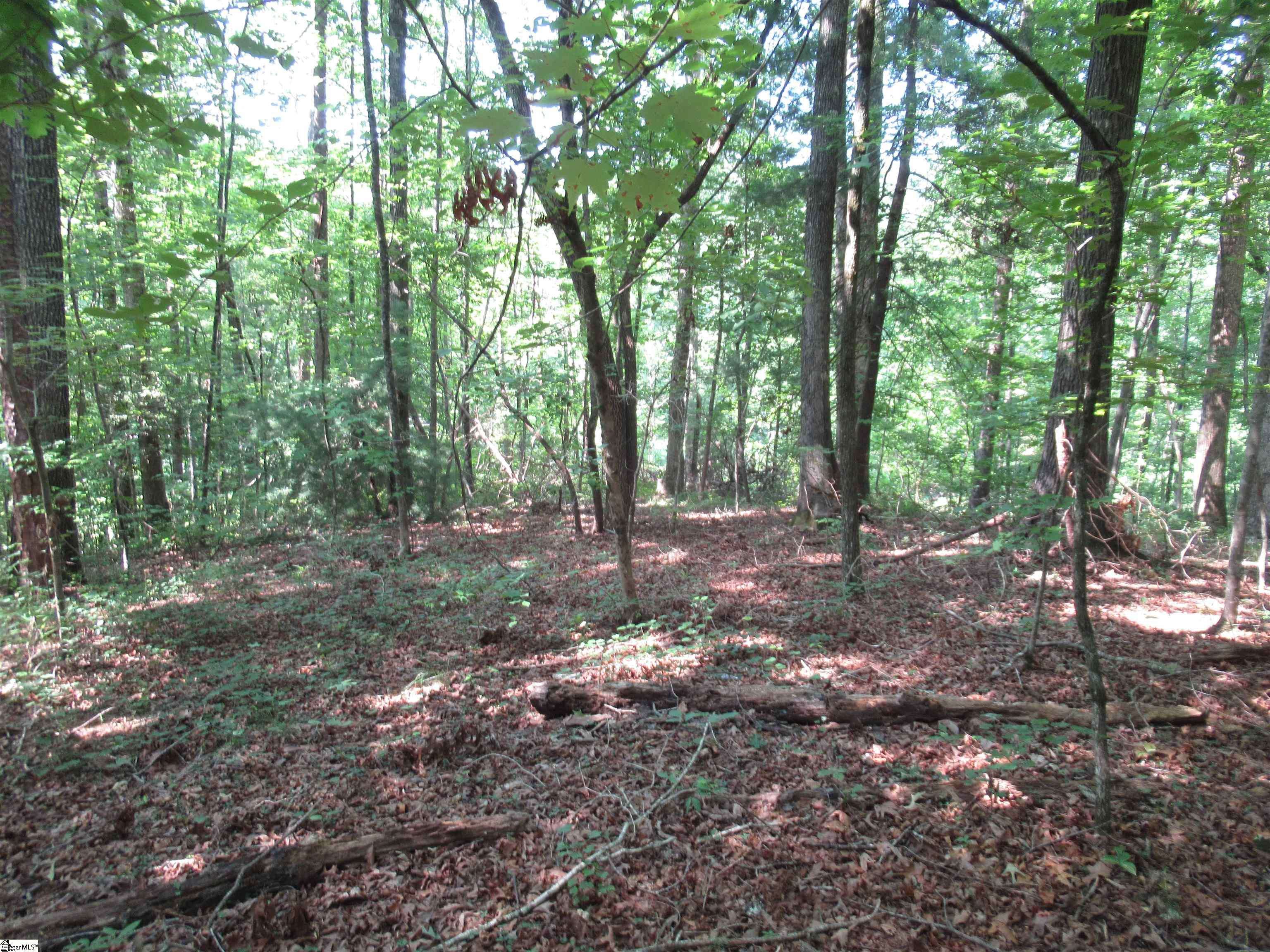 Pickens, SC 29671,205 Gauley Falls Road