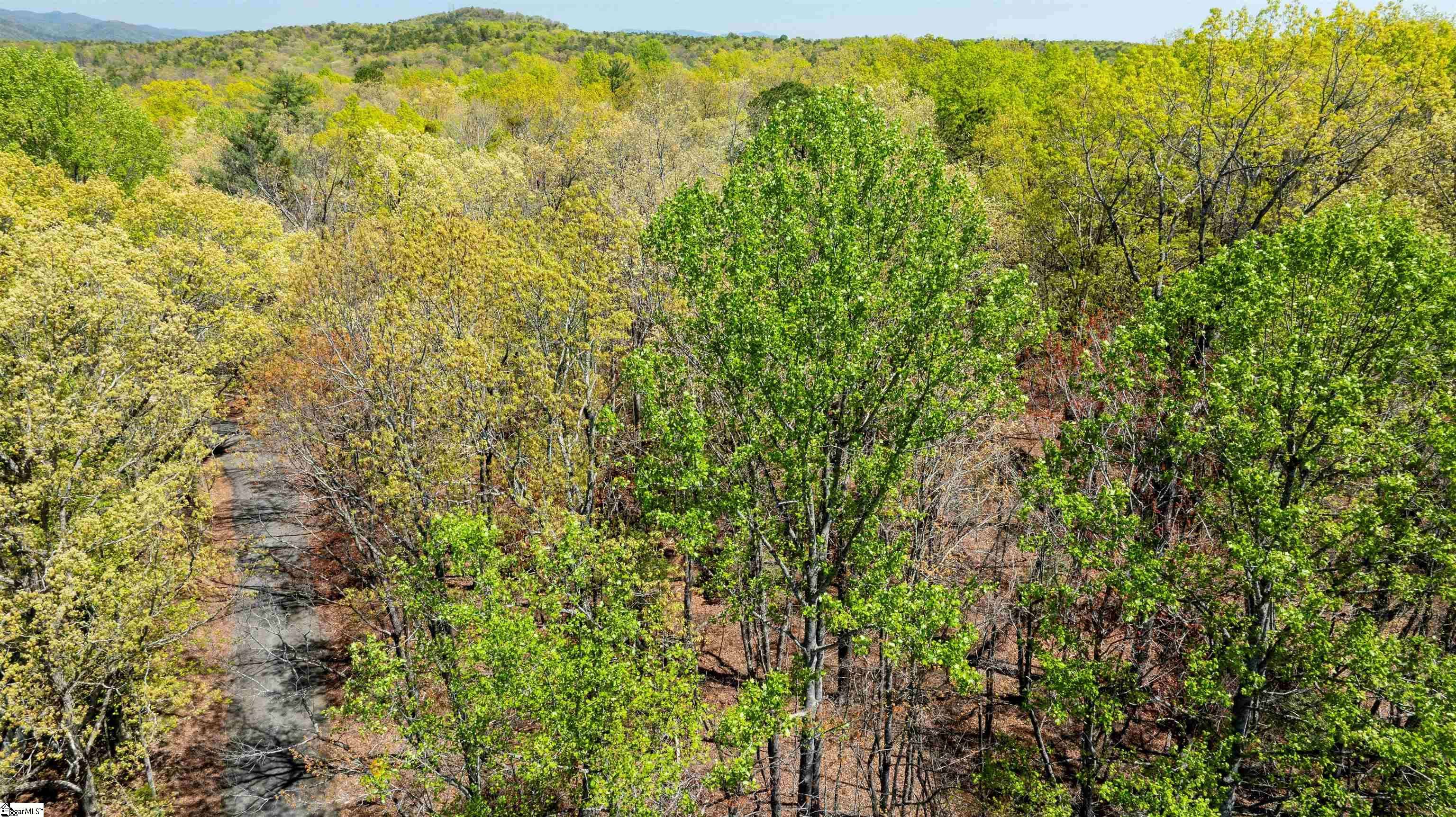 Mountain Rest, SC 29664,00 Old Turnpike Road