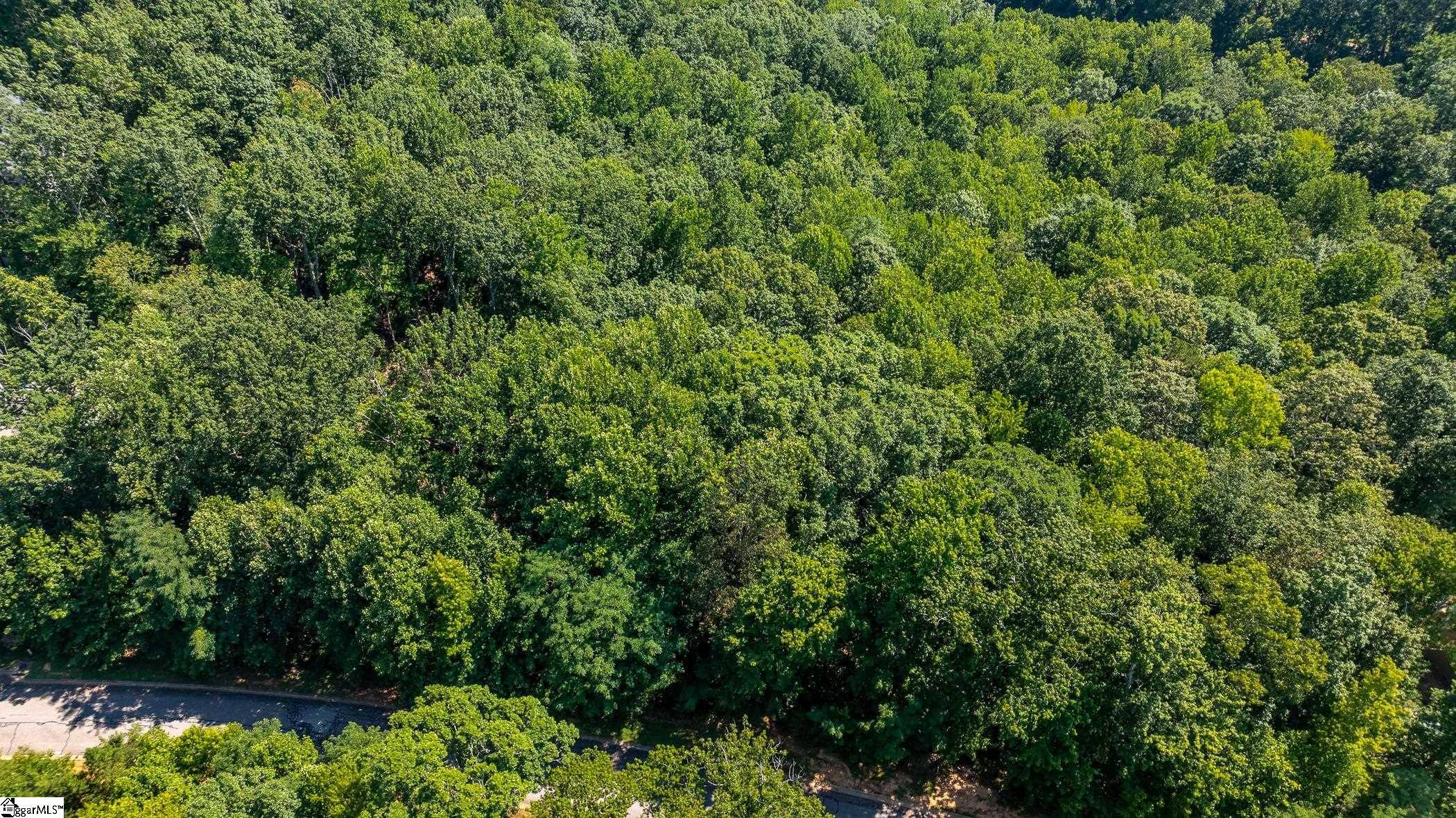 Travelers Rest, SC 29690,317 Laurel Valley Way