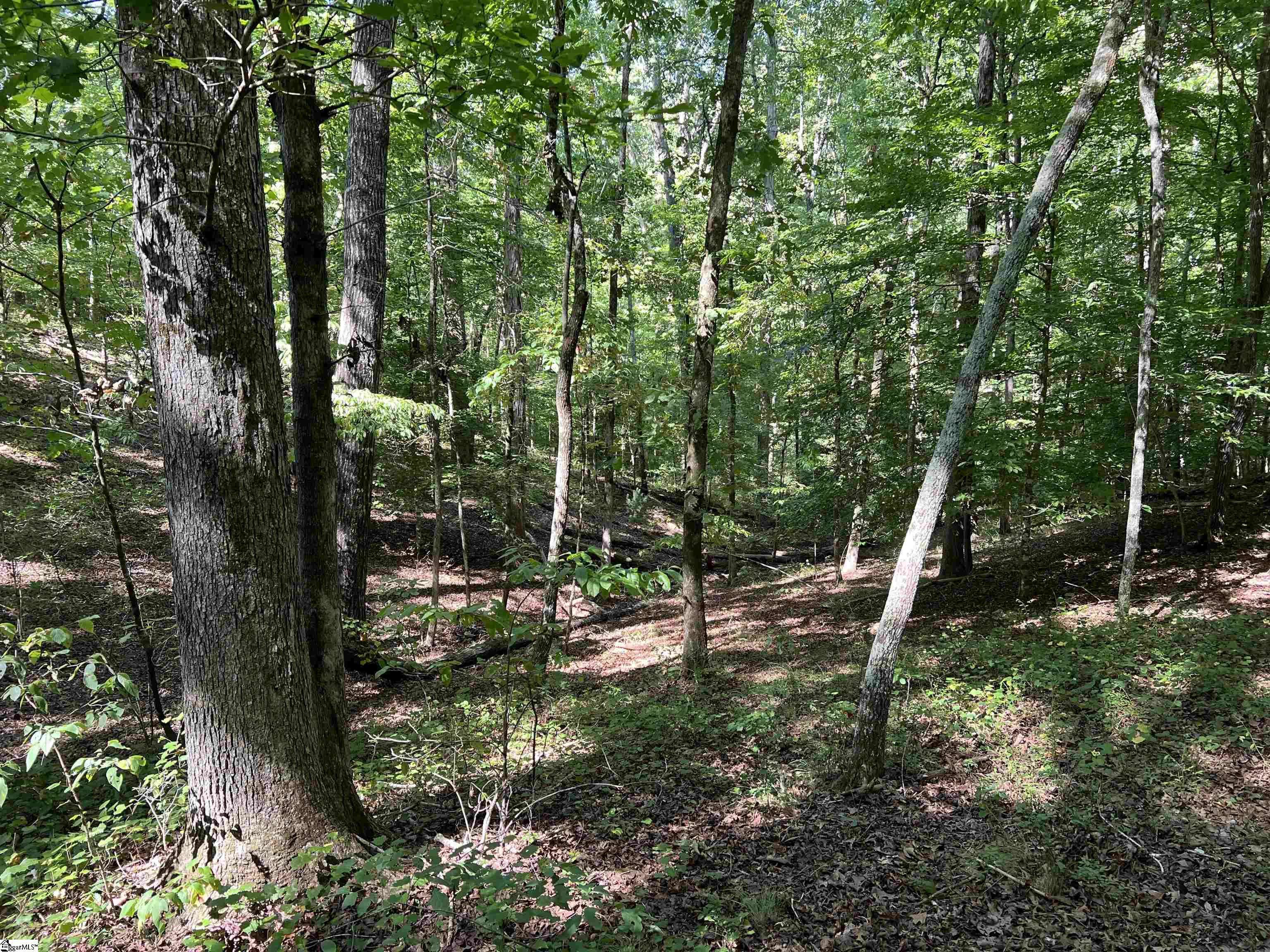 Central, SC 29630,235 Old Henderson Road