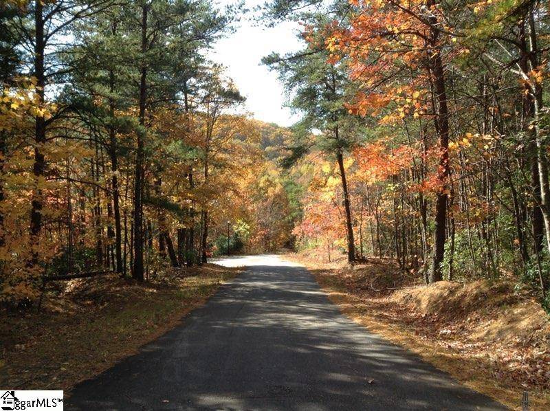 Landrum, SC 29356,0 Hidden Glory Drive