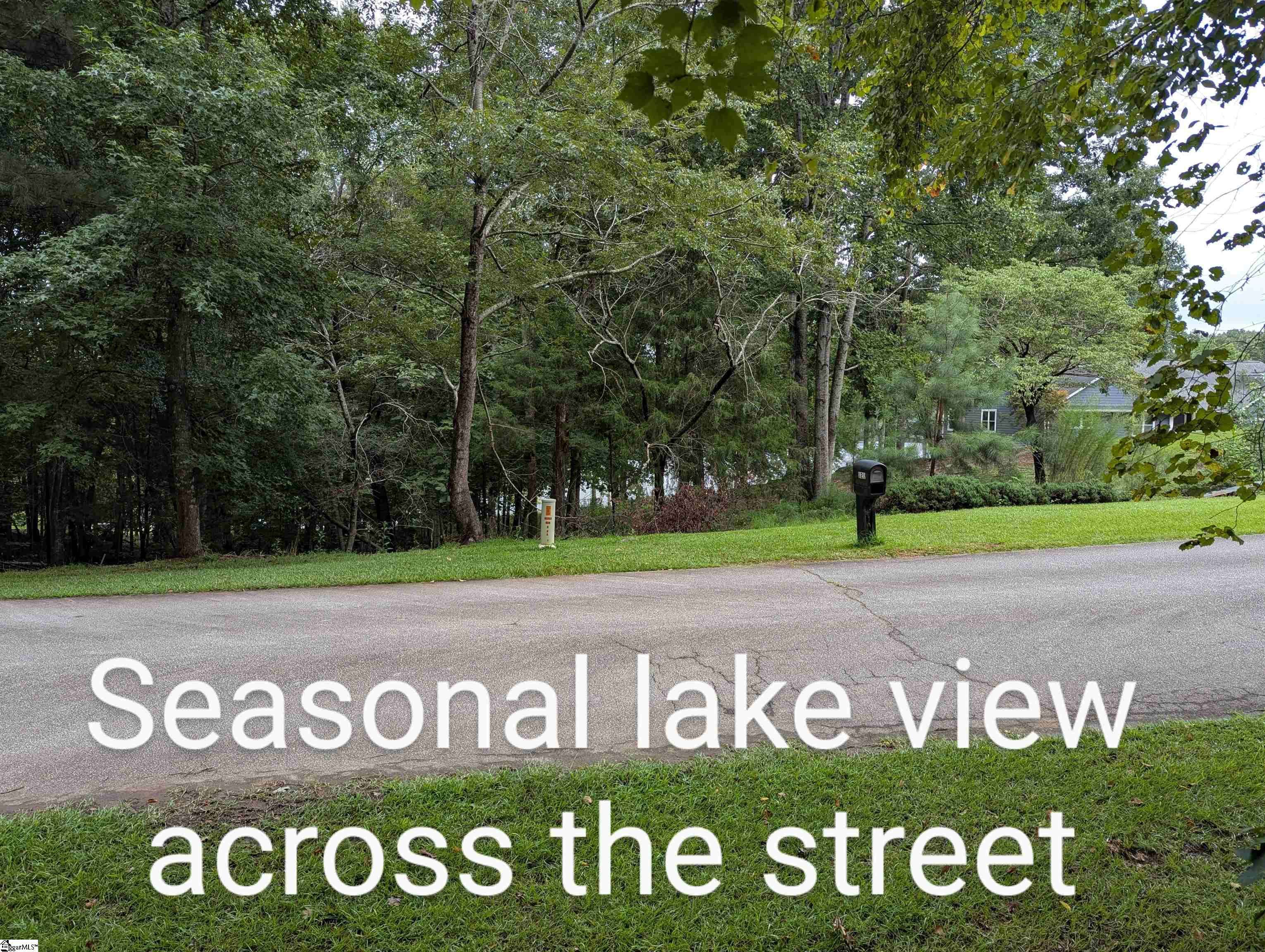 Laurens, SC 29360,00 E Peninsula Drive
