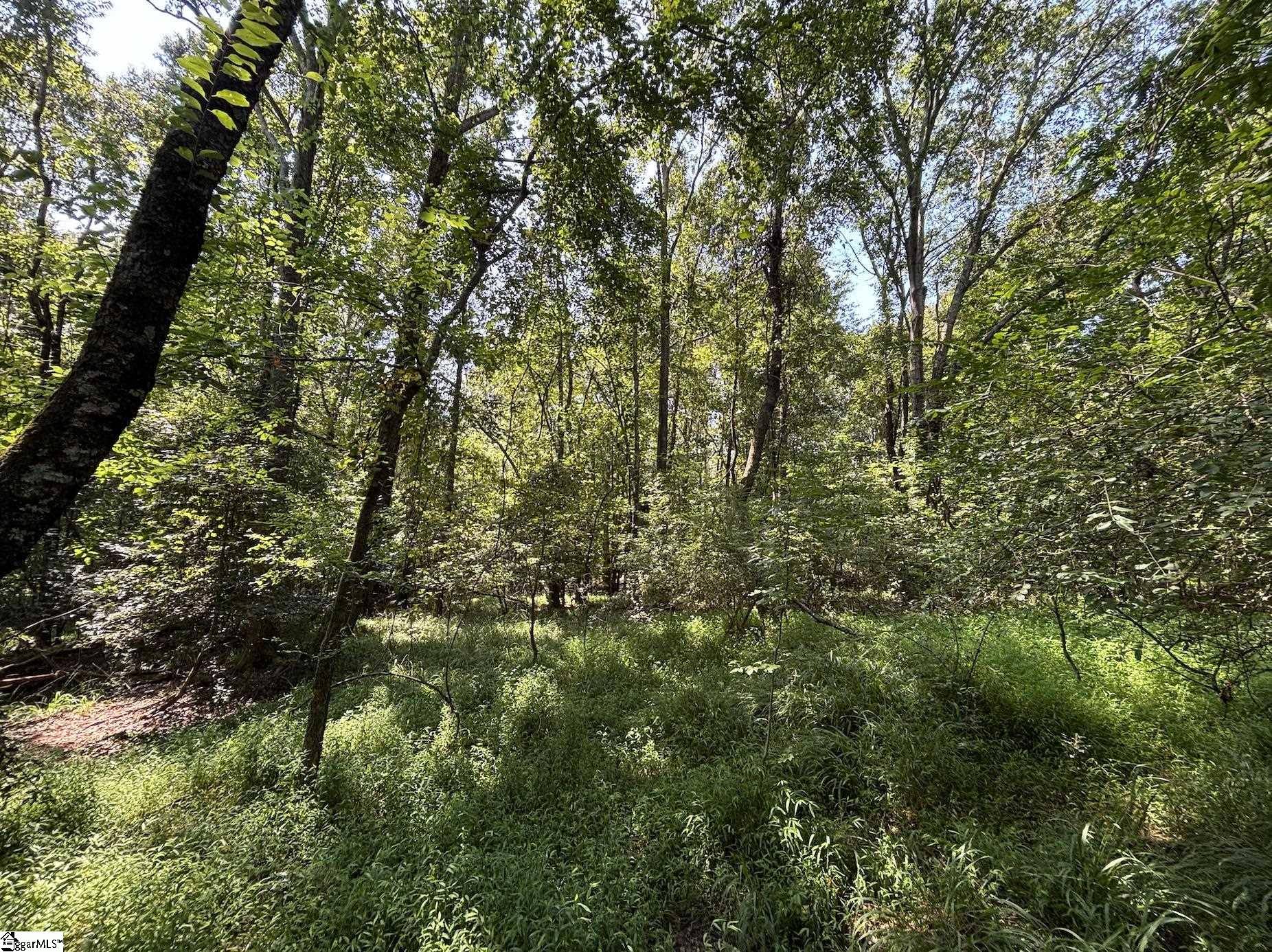 Wellford, SC 29385,000 Wingo Road