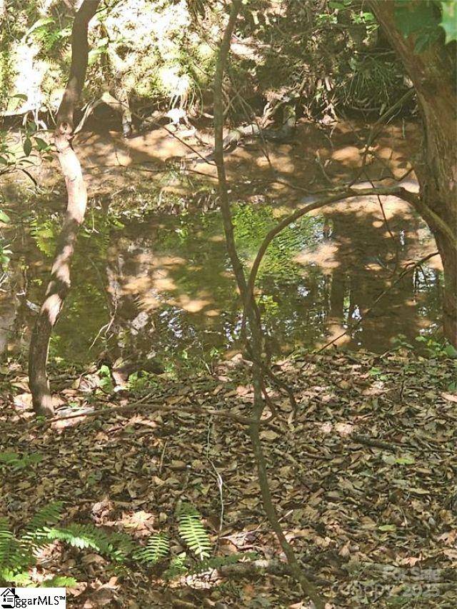 Tryon, NC 28782,00 Green Creek Drive