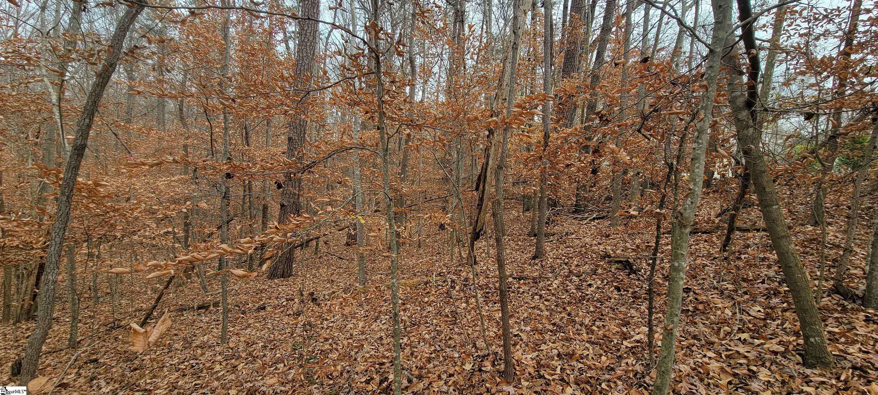 Westminster, SC 29693,00 Gum Court