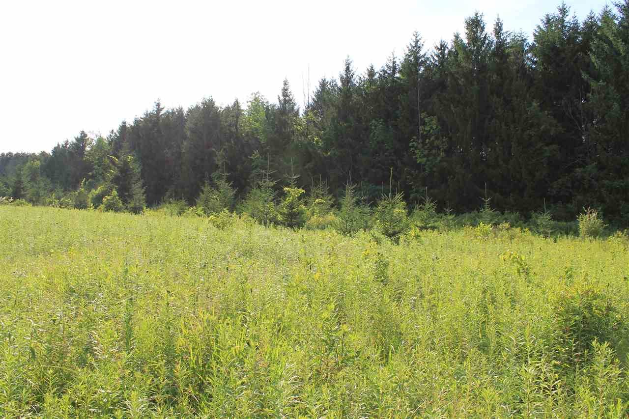 Waldo, WI 53093,BLUEBERRY LN