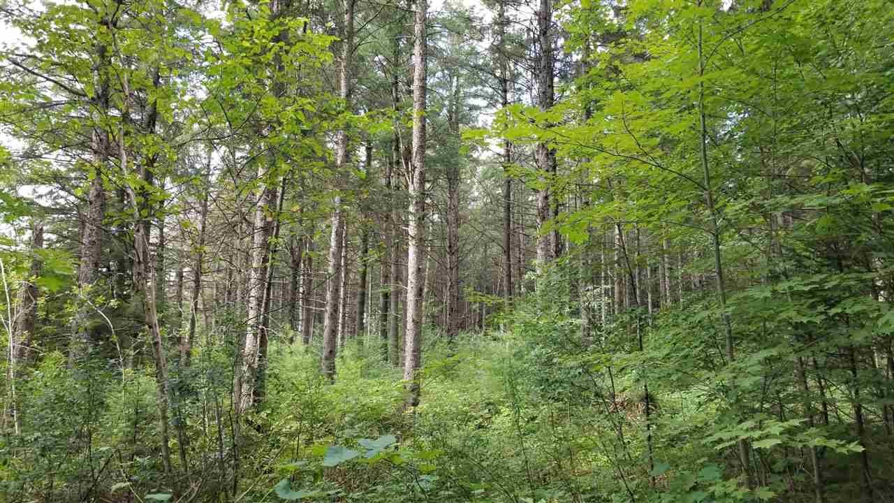 Gresham, WI 54128,LITTLE RD