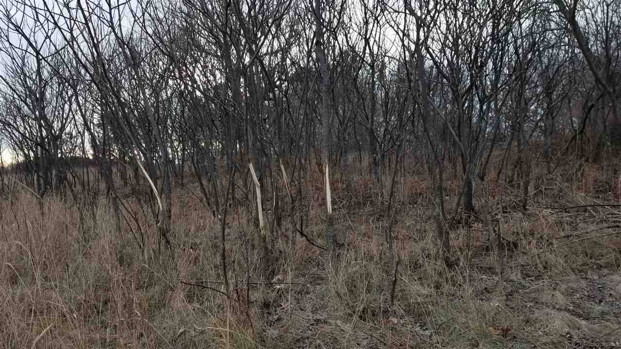 Waupaca, WI 54981,5903 HWY DD