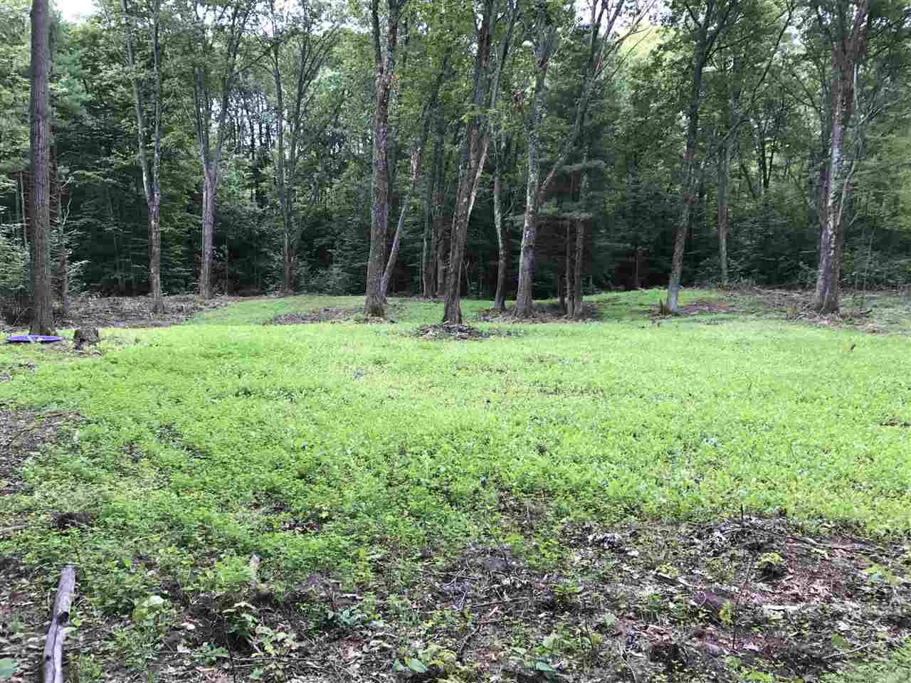 White Lake, WI 54491,VANALSTINE RD