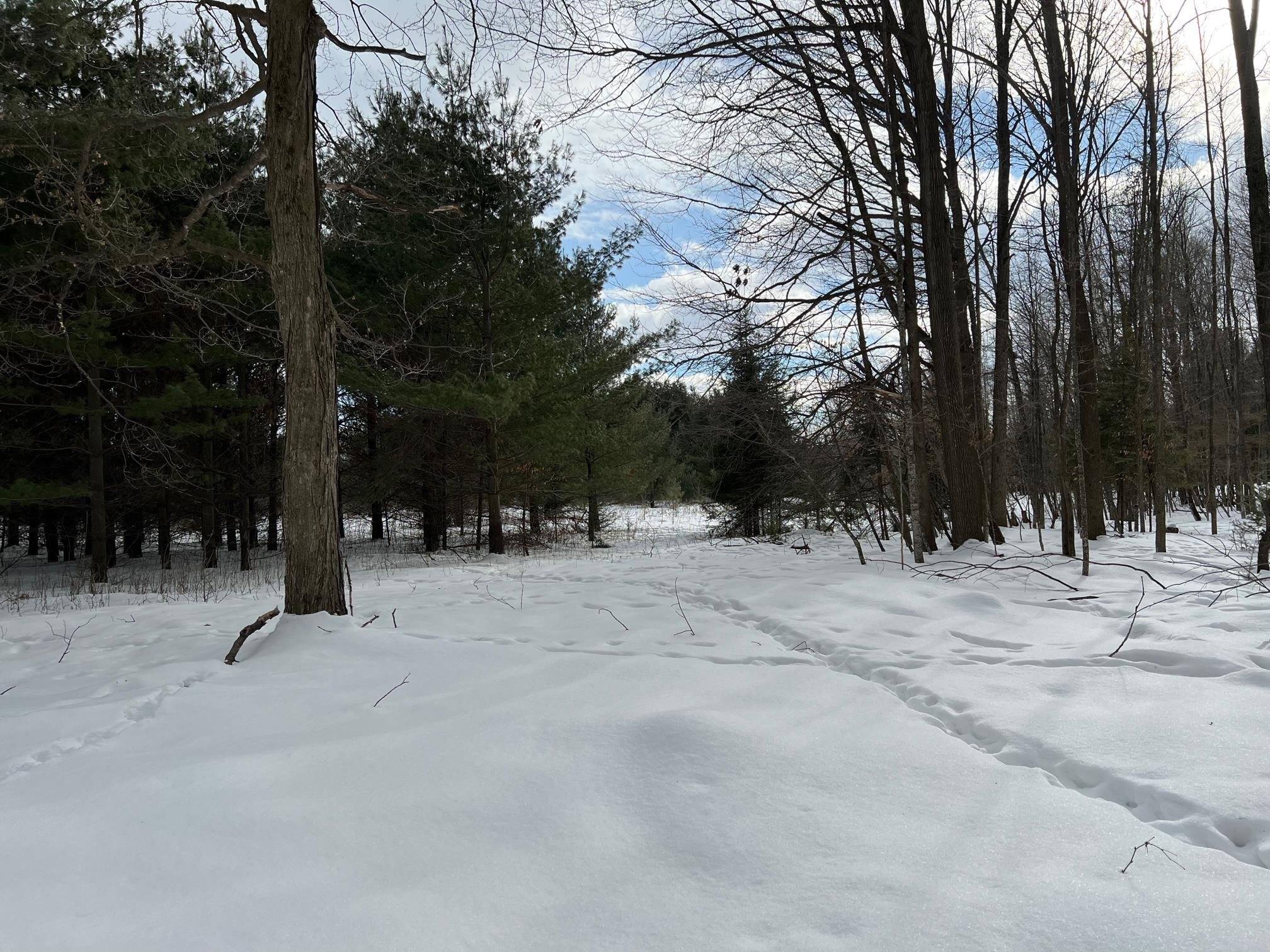 Suring, WI 54174,COUNTY HWY G