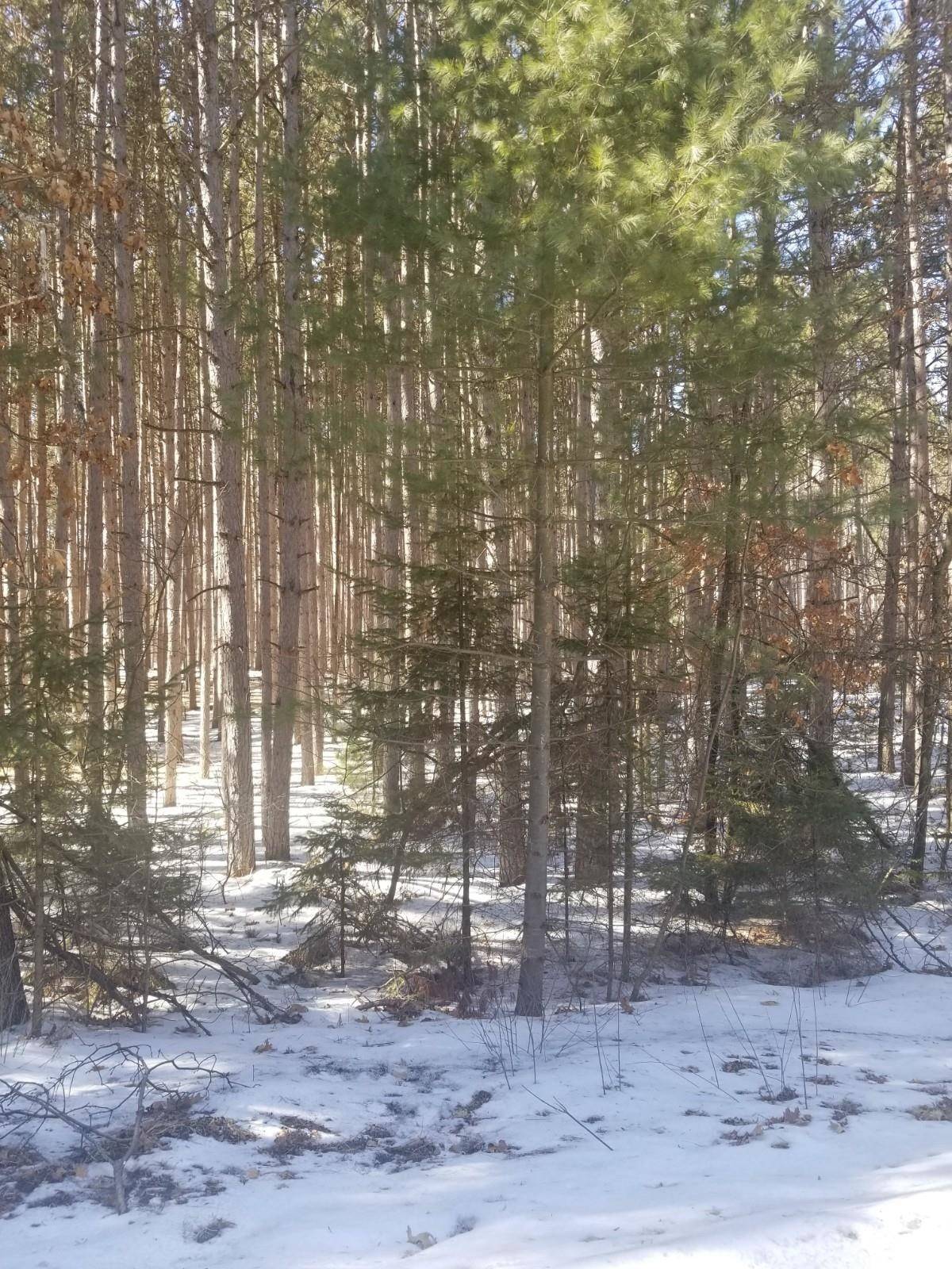 Waupaca, WI 54981,E EVERGREEN DR #99