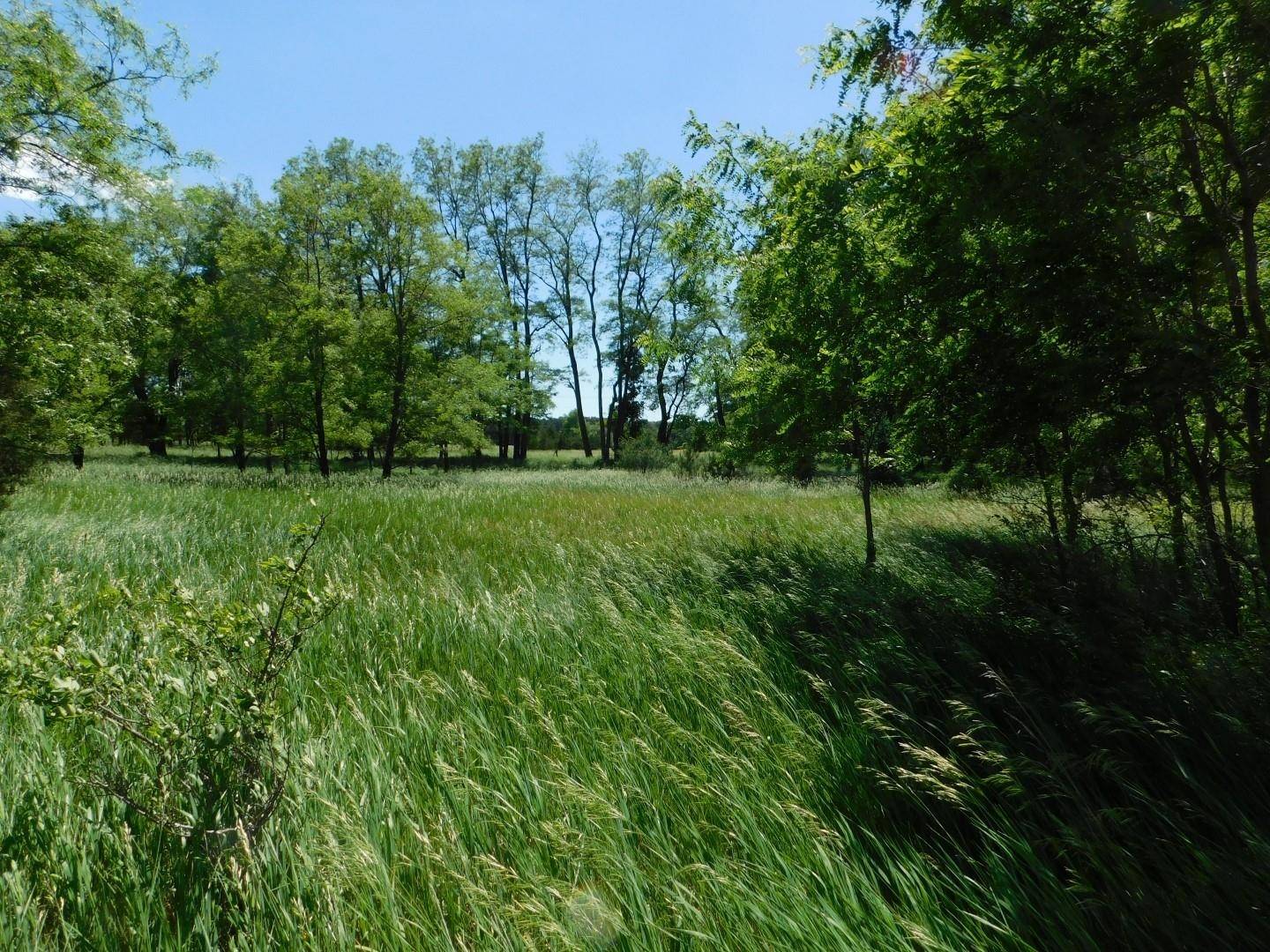 Montello, WI 53949,FERN AVE #34