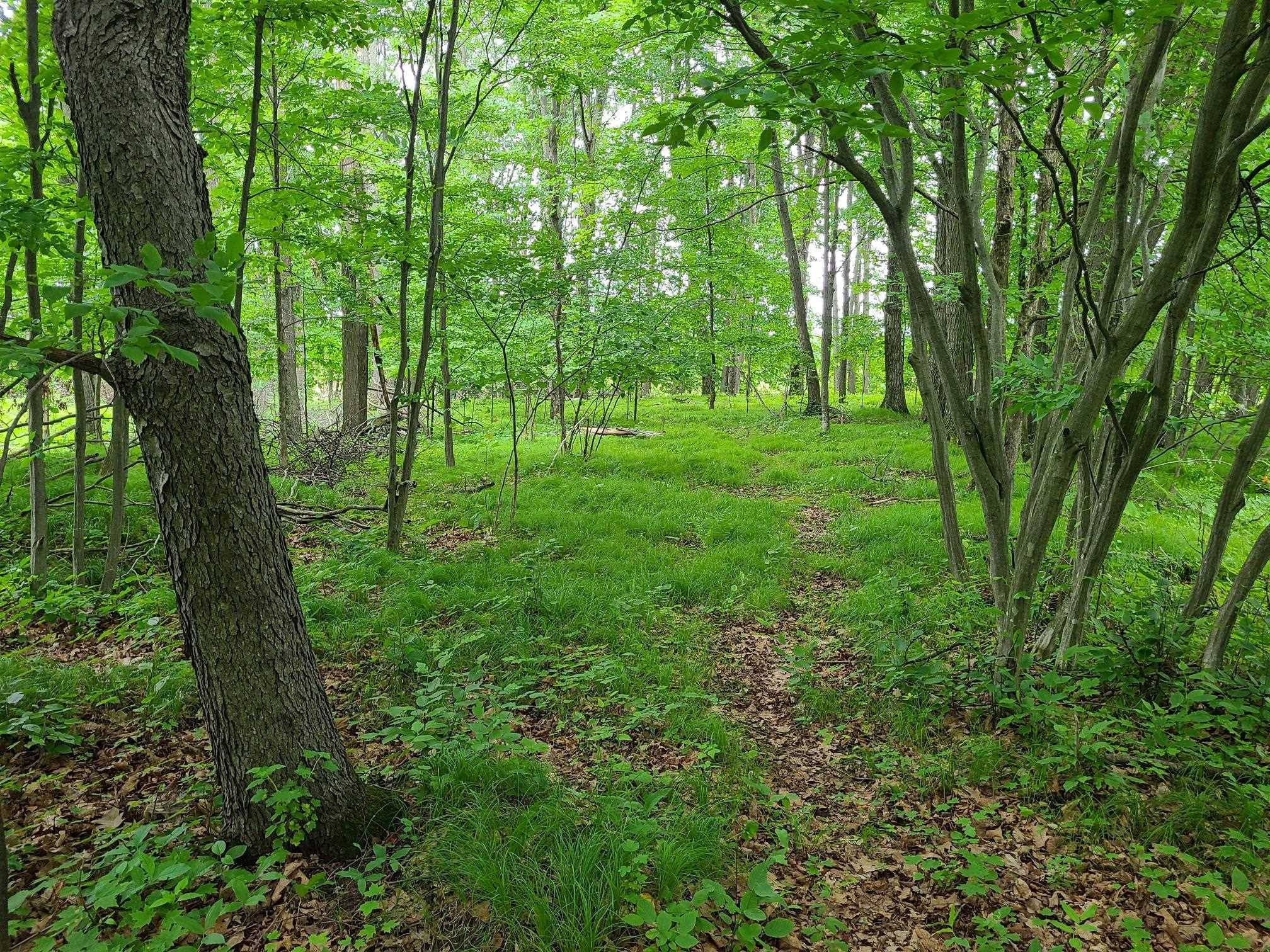 Rosholt, WI 54473-9670,202741 ICE AGE LN