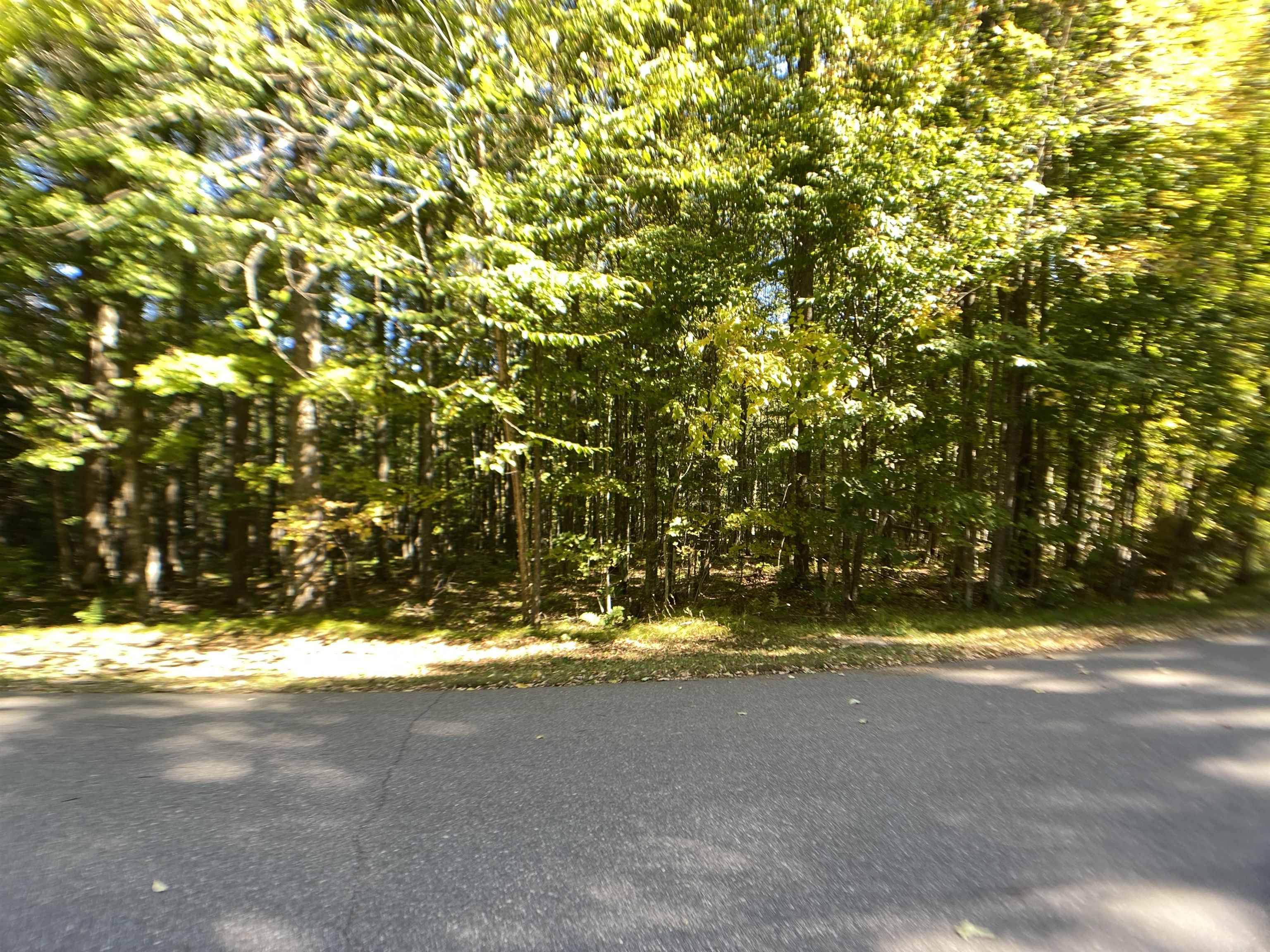 White Lake, WI 54491-0000,BADGER RANCH RD