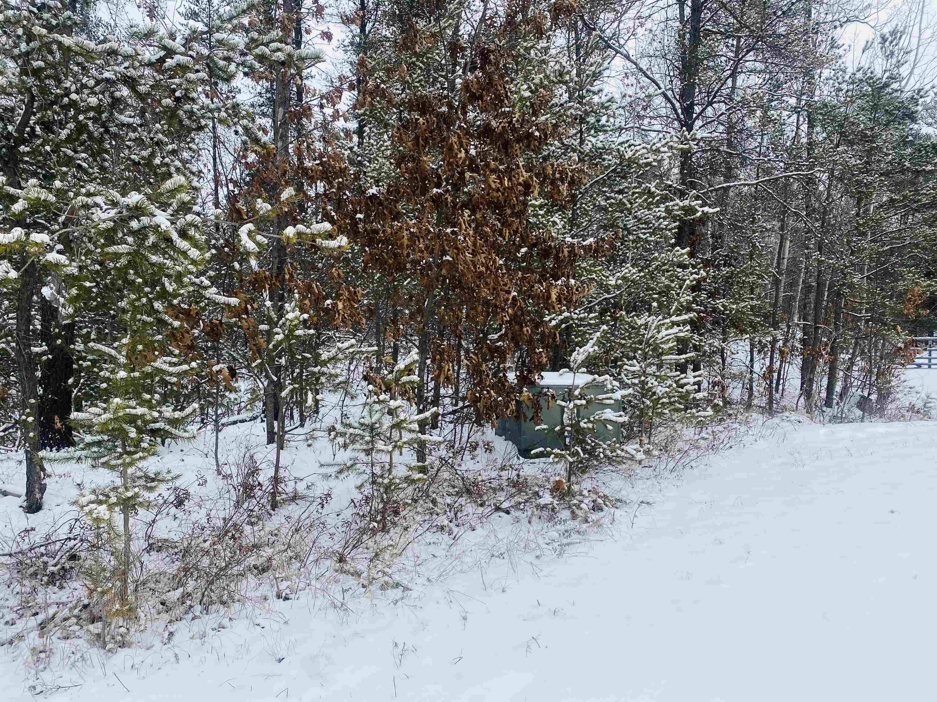 Wausaukee, WI 54177,OXBOW LN #2