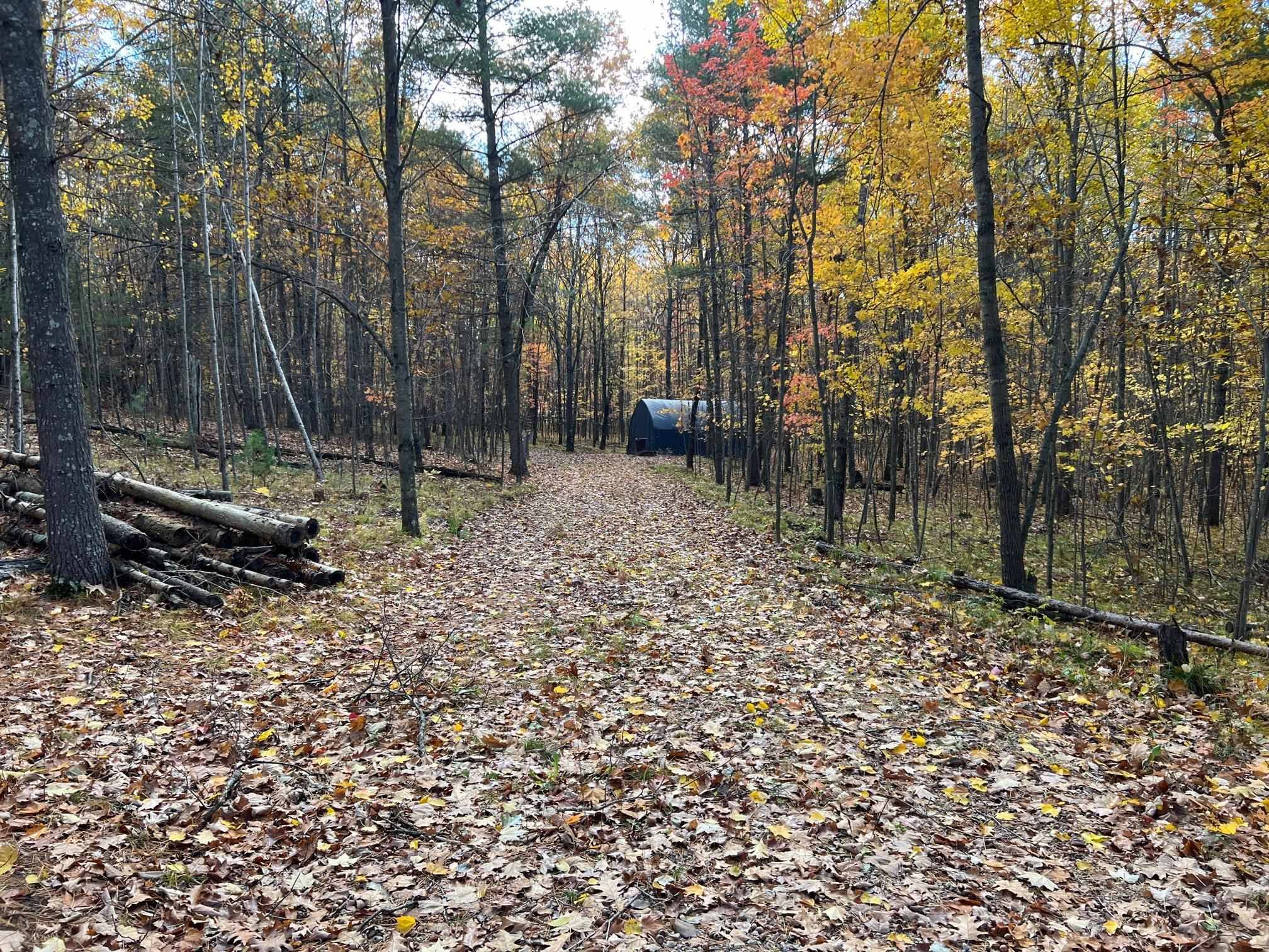 Suring, WI 54174,10886 RANDALL LN