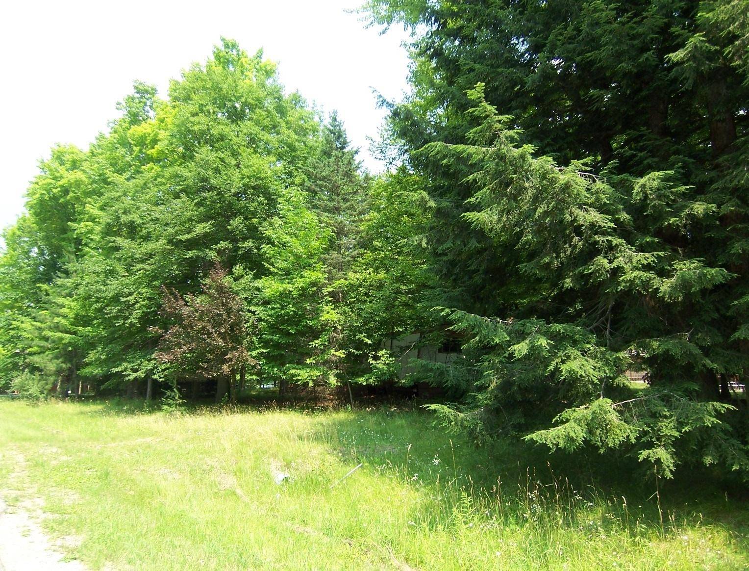 Suring, WI 54174-9675,9665 HOLT PARK RD