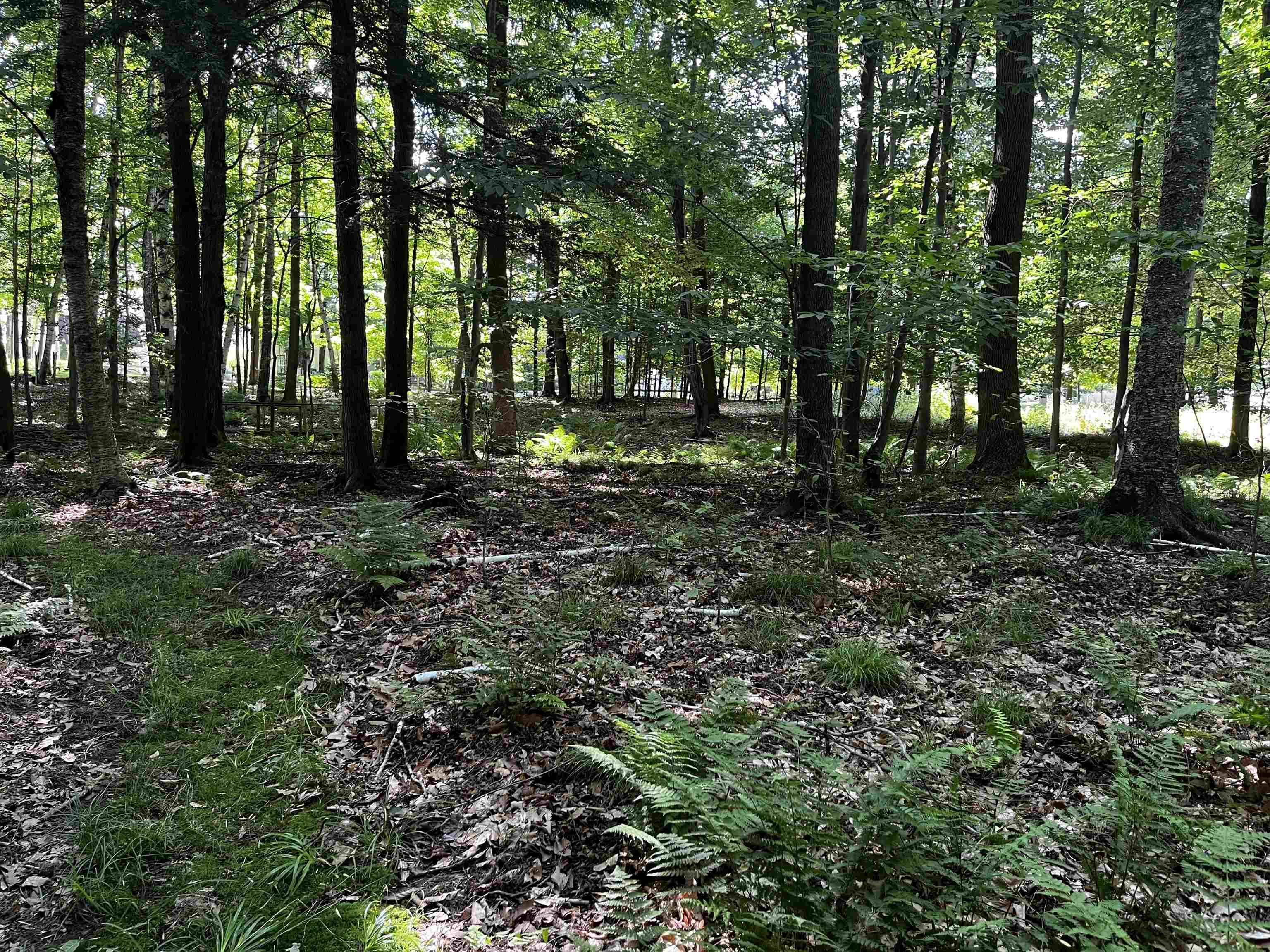 Suring, WI 54174,N KELLY LAKE RD