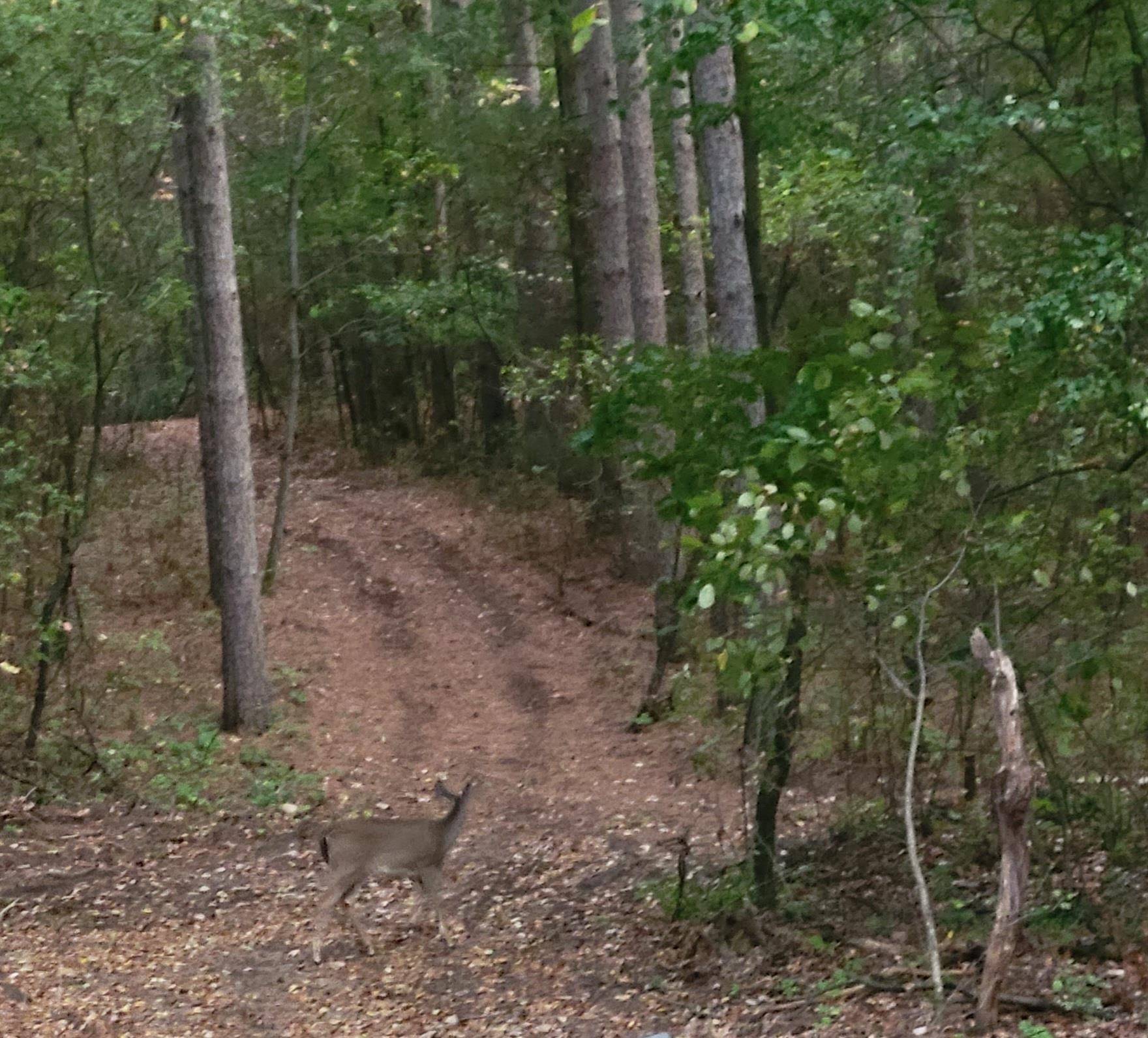 Almond, WI 54909,N6701 14TH AVE #1