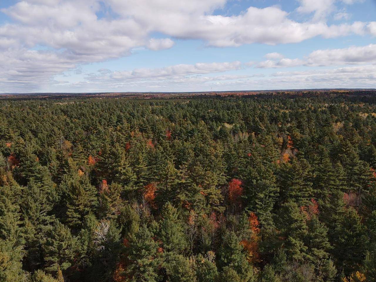 Suring, WI 54174,WESO FLOWAGE LN