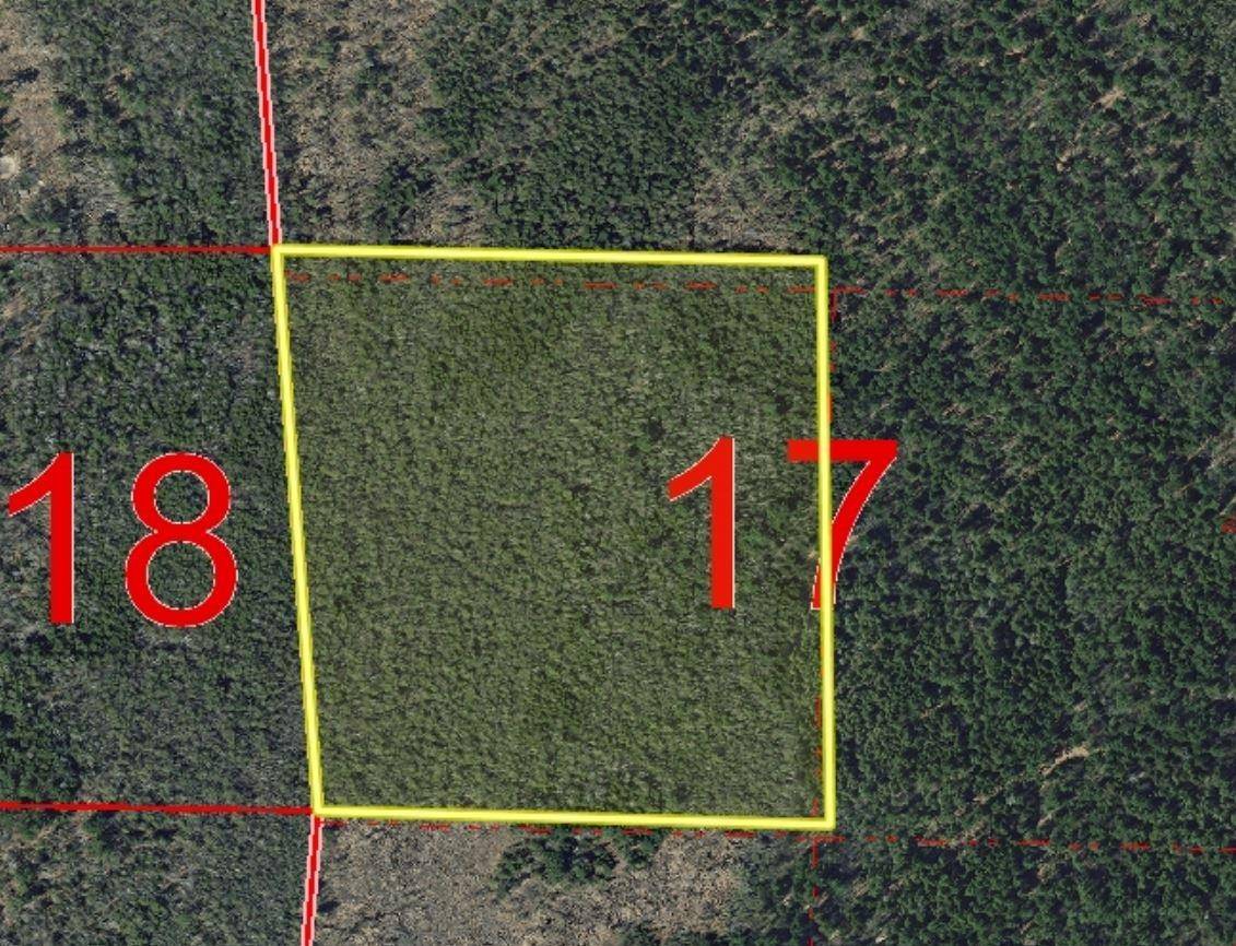 Suring, WI 54174,WESO FLOWAGE LN