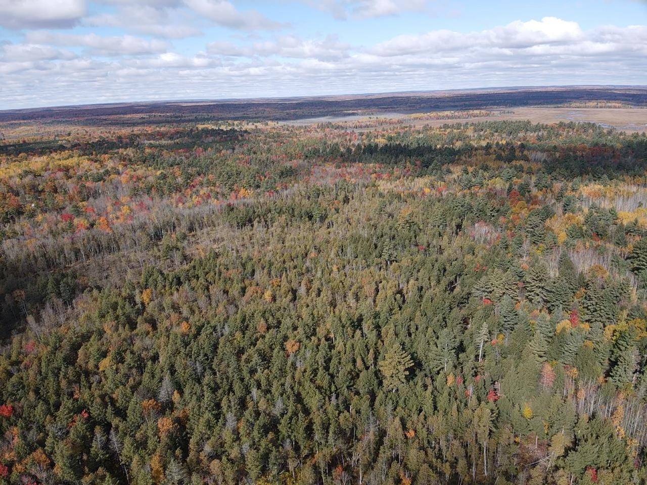 Suring, WI 54174,WESO FLOWAGE LN