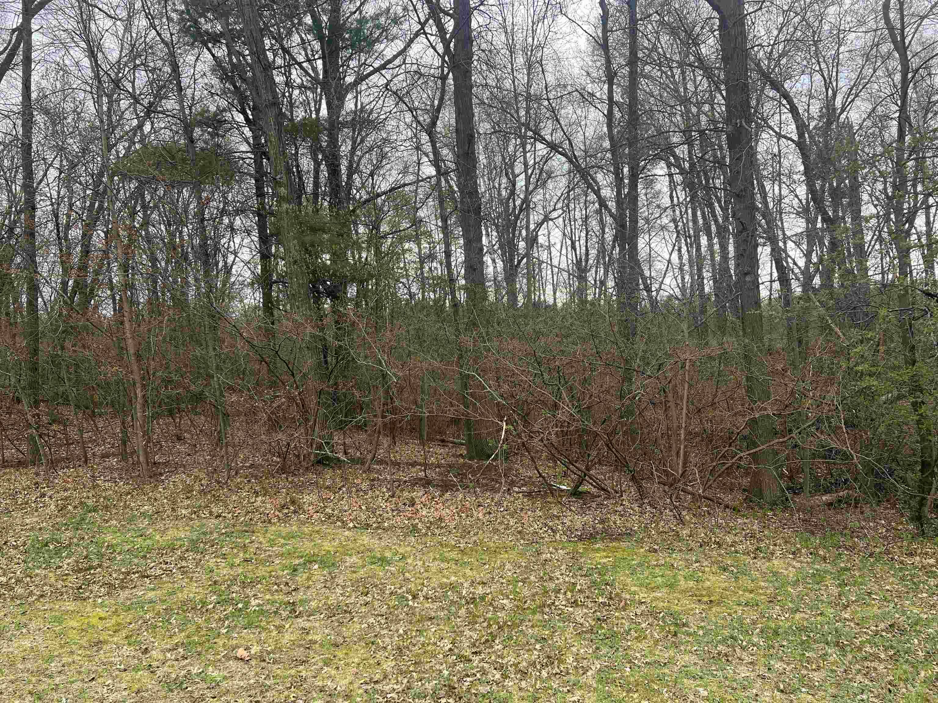 Oconto, WI 54153,MCDONALD ST #26