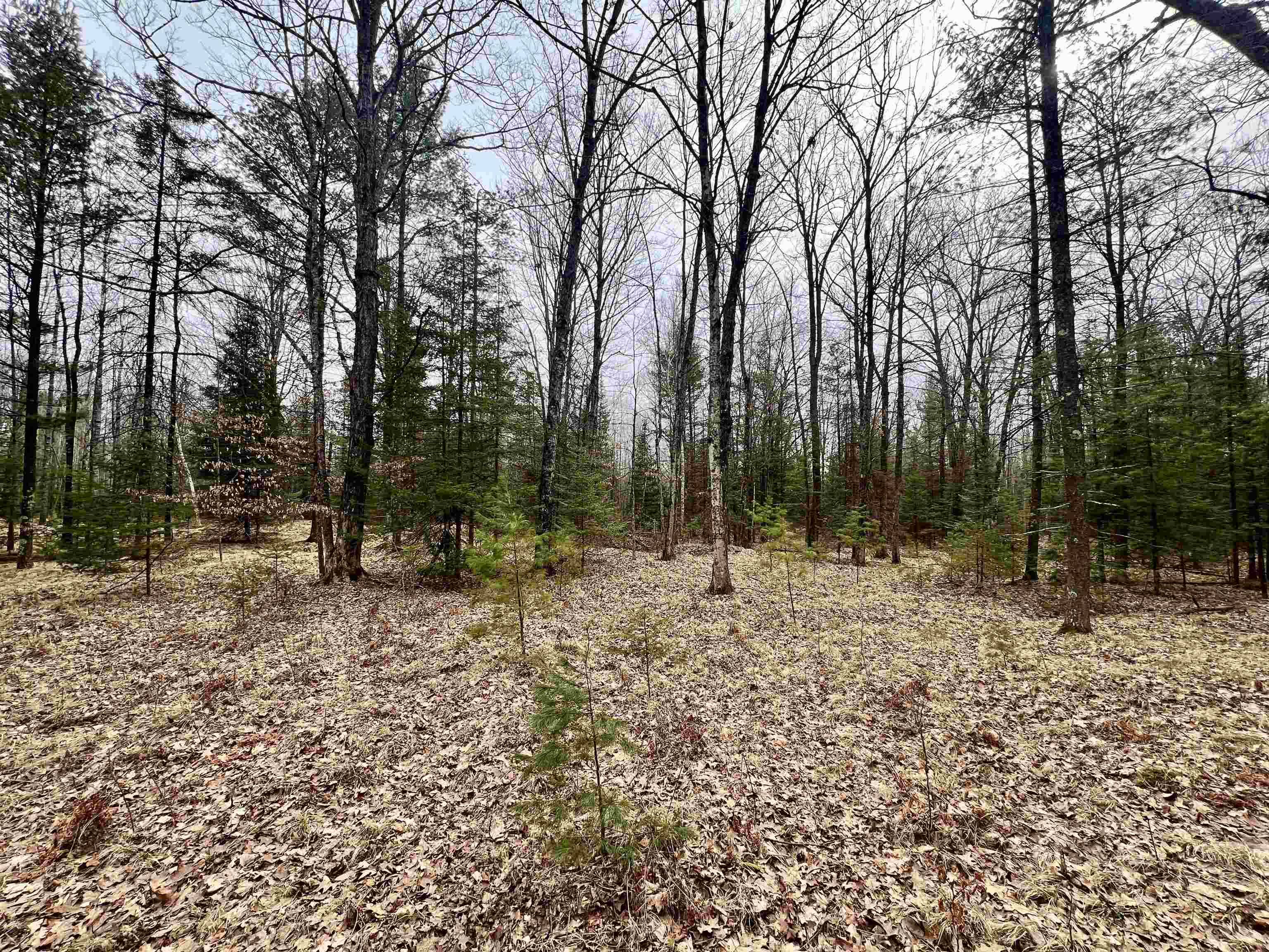 Amberg, WI 54102,BARKER RD