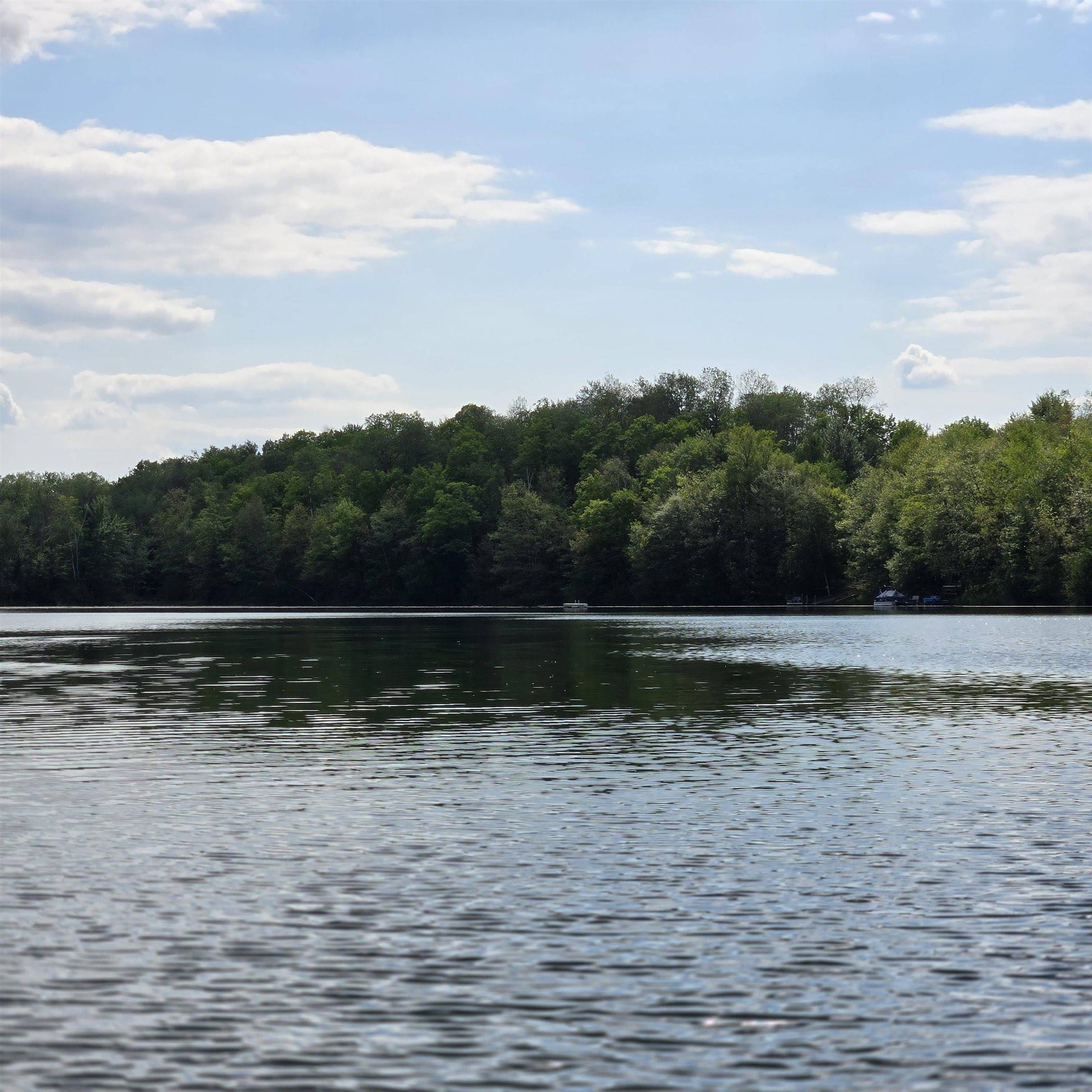 Mountain, WI 54149,CRESTVIEW DR #19B