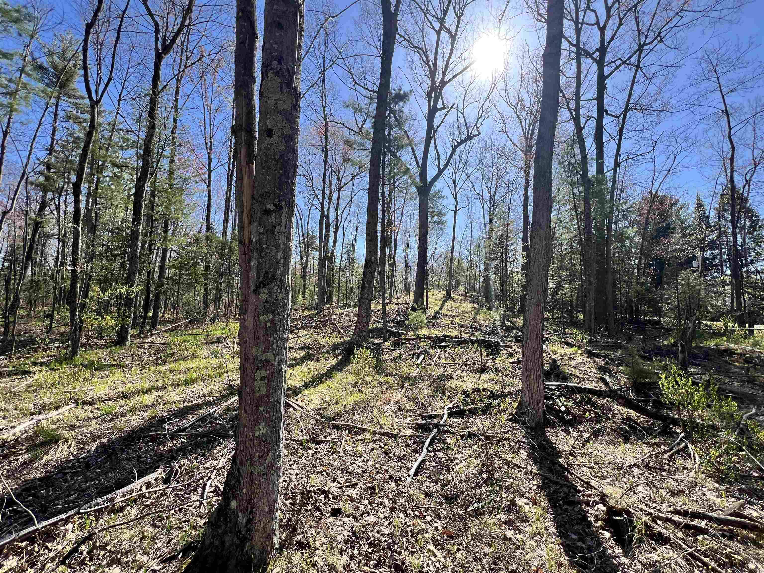 Wausaukee, WI 54177,NEJEDLO RD #1