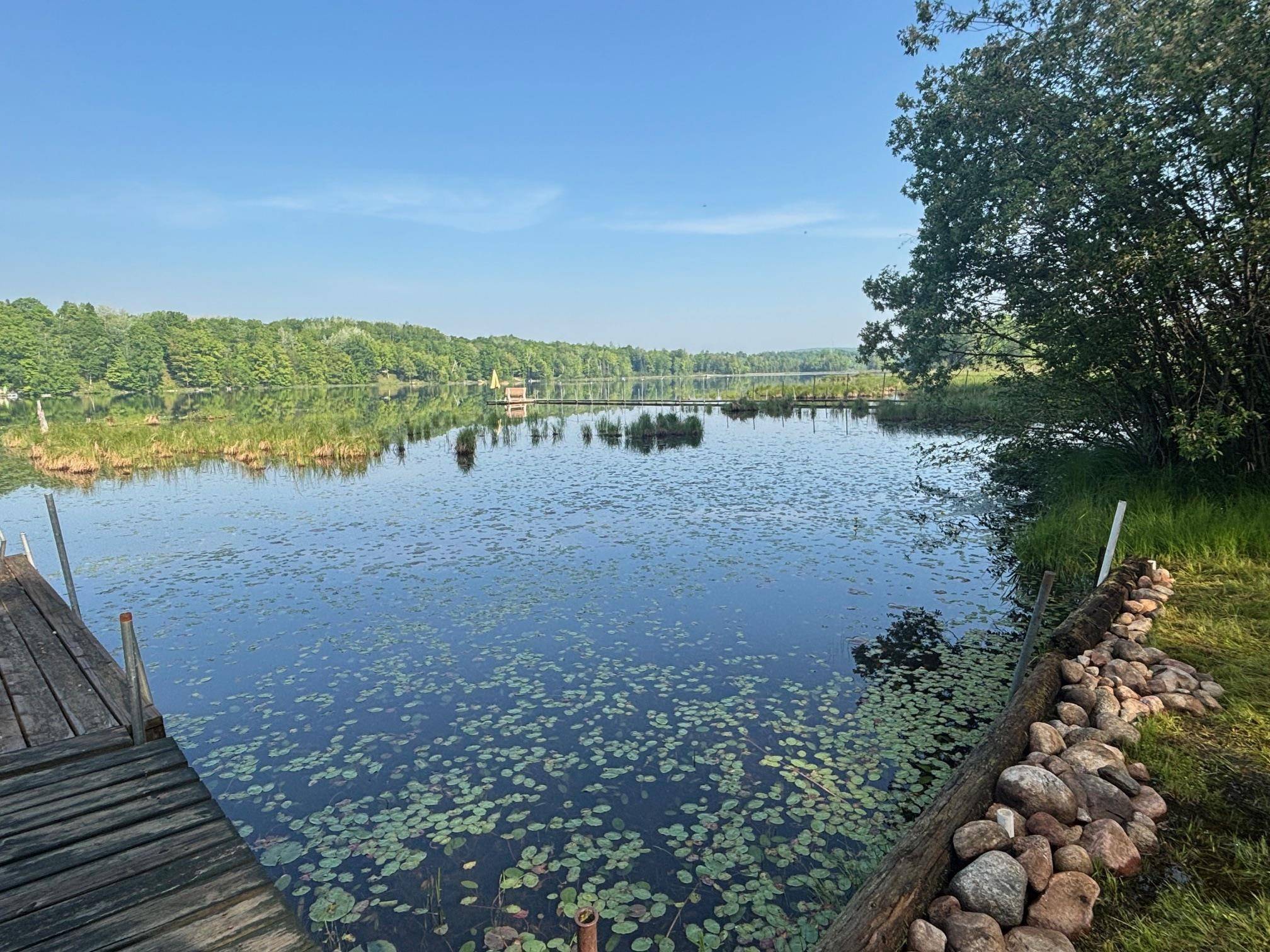 Townsend, WI 54175,18363 PICKEREL LAKE RD