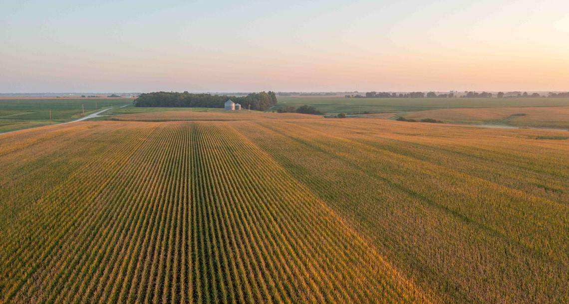 Bloomfield, IA 52537,000 Nectarine Avenue