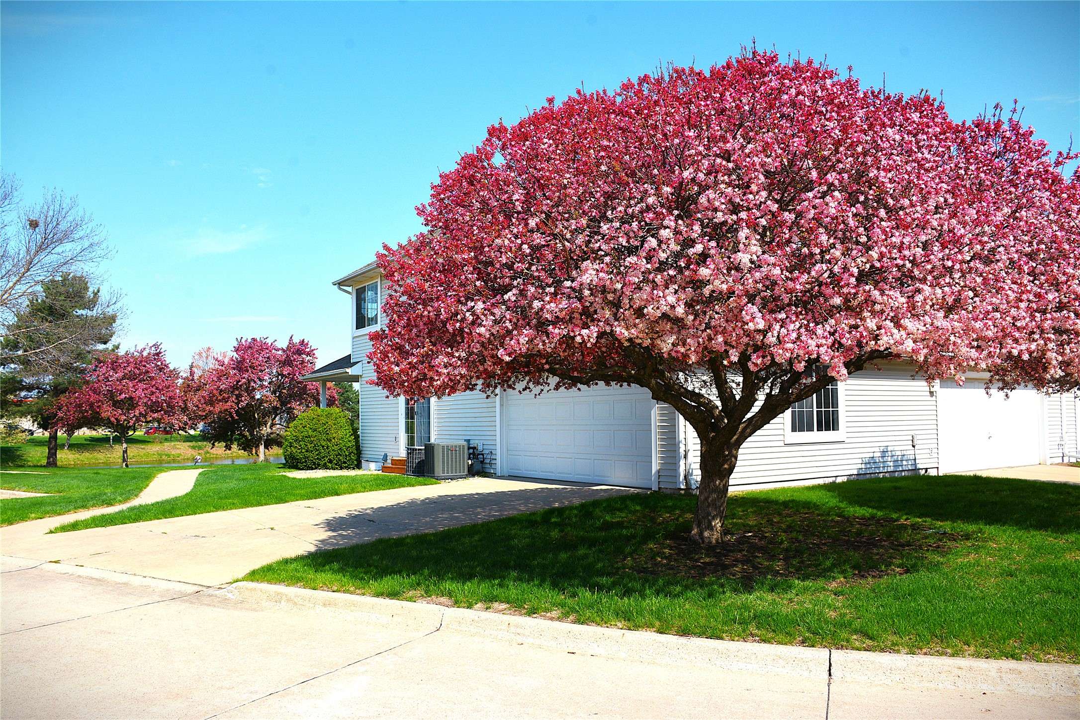 Waukee, IA 50263,555 SE Laurel Street #14