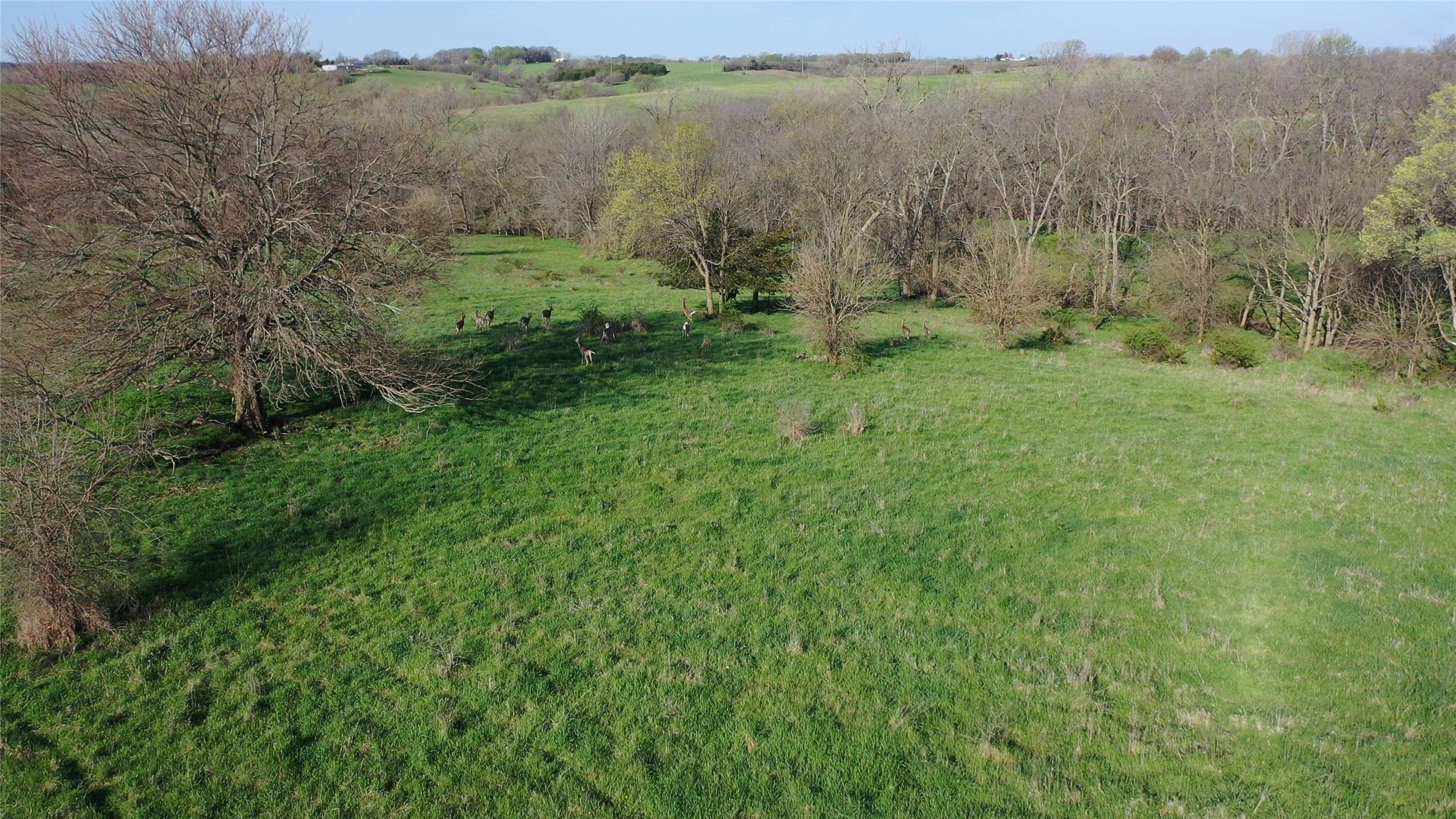 Woodburn, IA 50275,00 330th Avenue