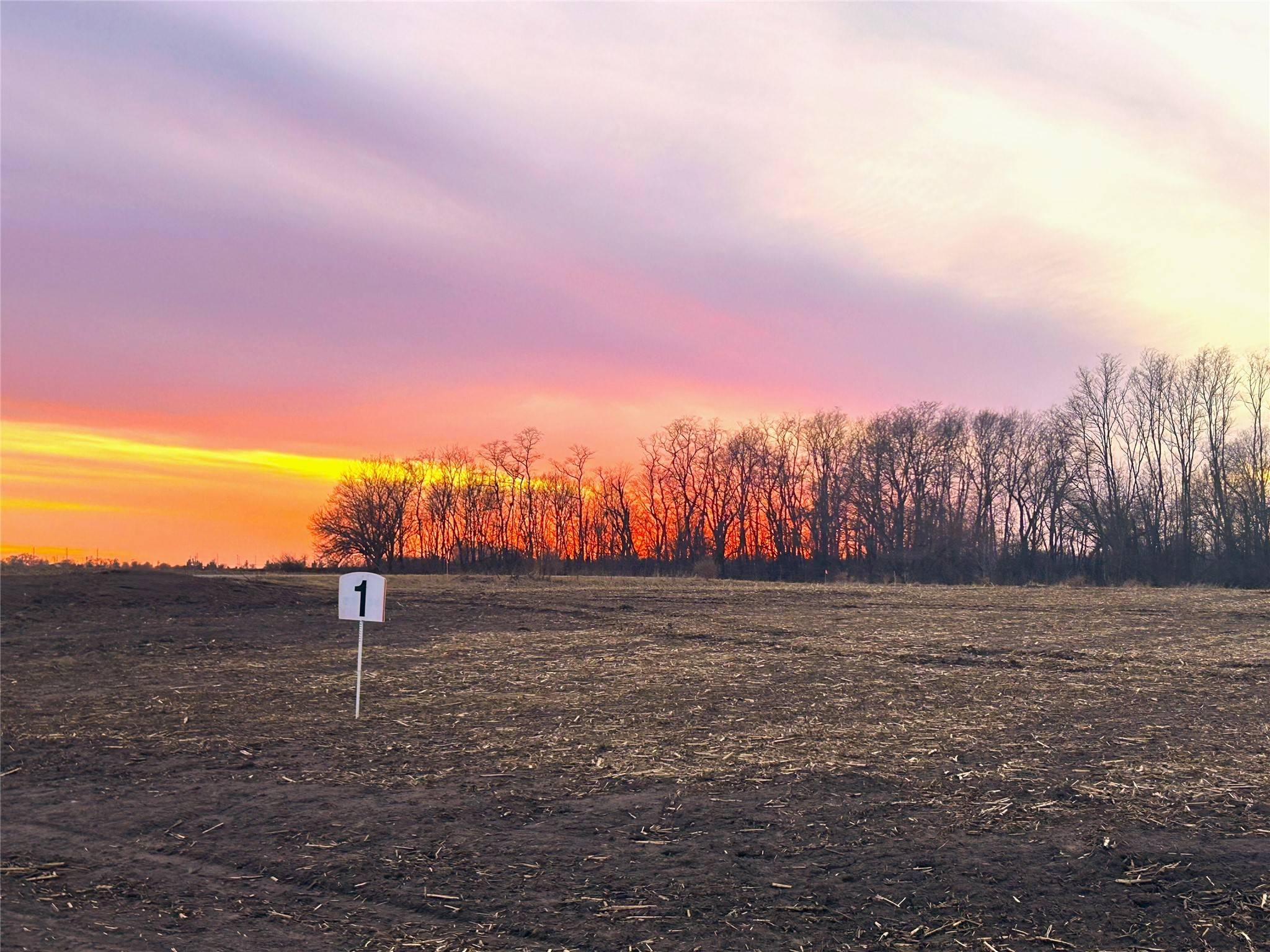 Woodward, IA 50276,1 Lot 2 333rd Street
