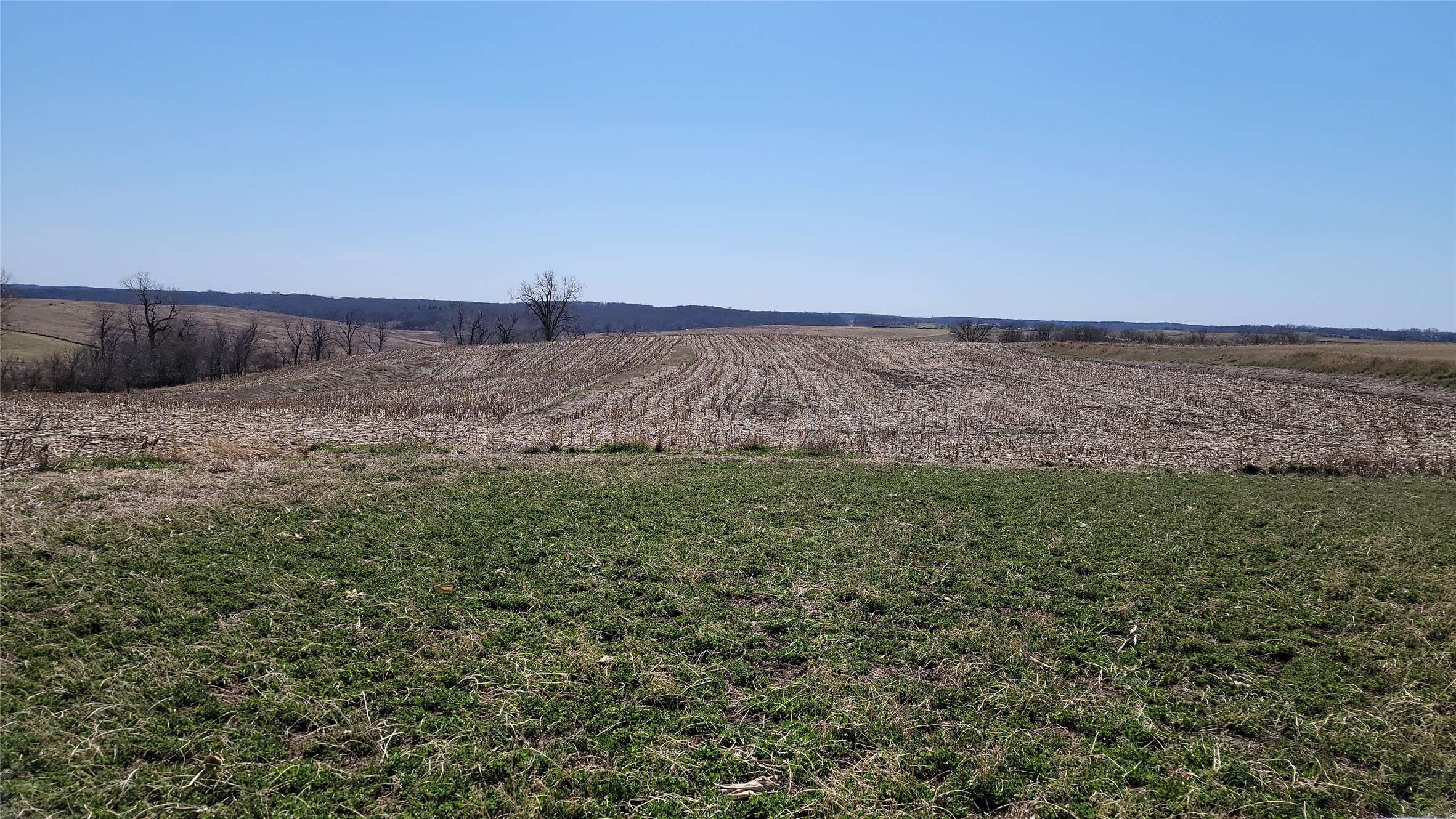 Osceola, IA 50213,3007 Garst Street