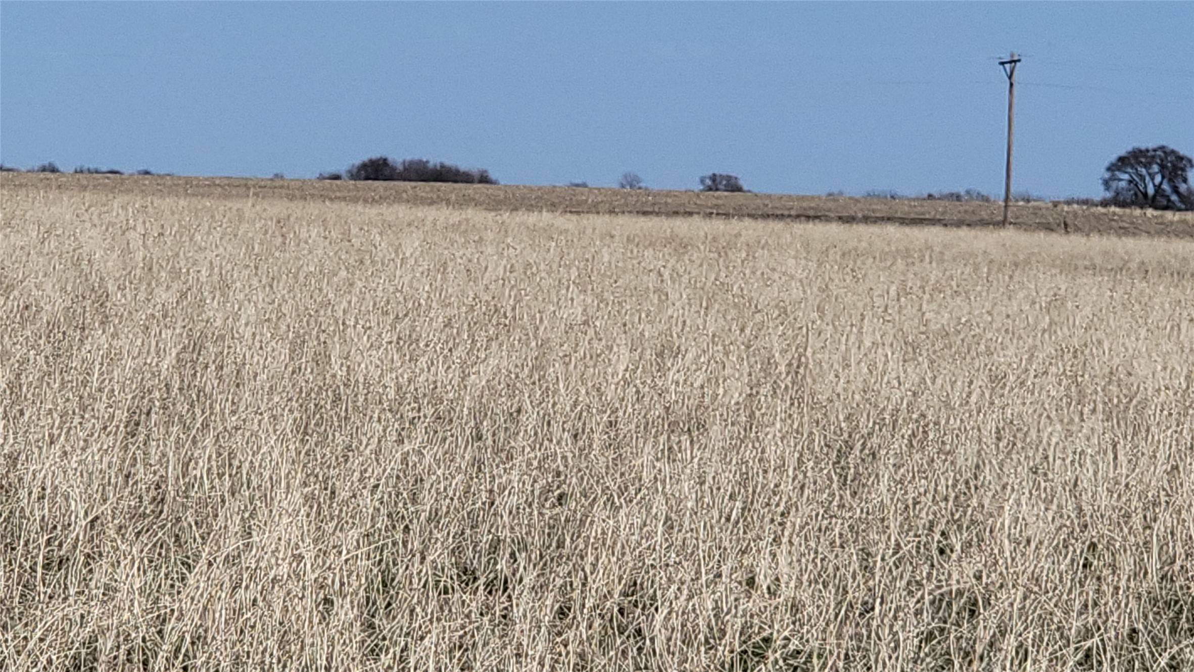 Osceola, IA 50213,3007 Garst Street