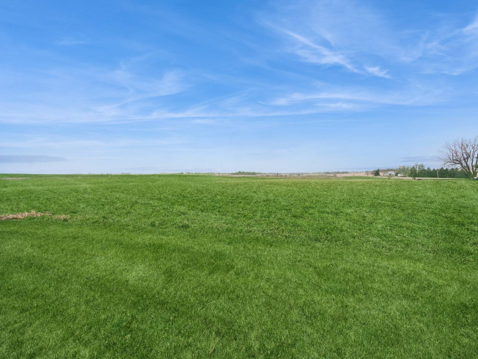 Dallas Center, IA 50063,23196 W Avenue