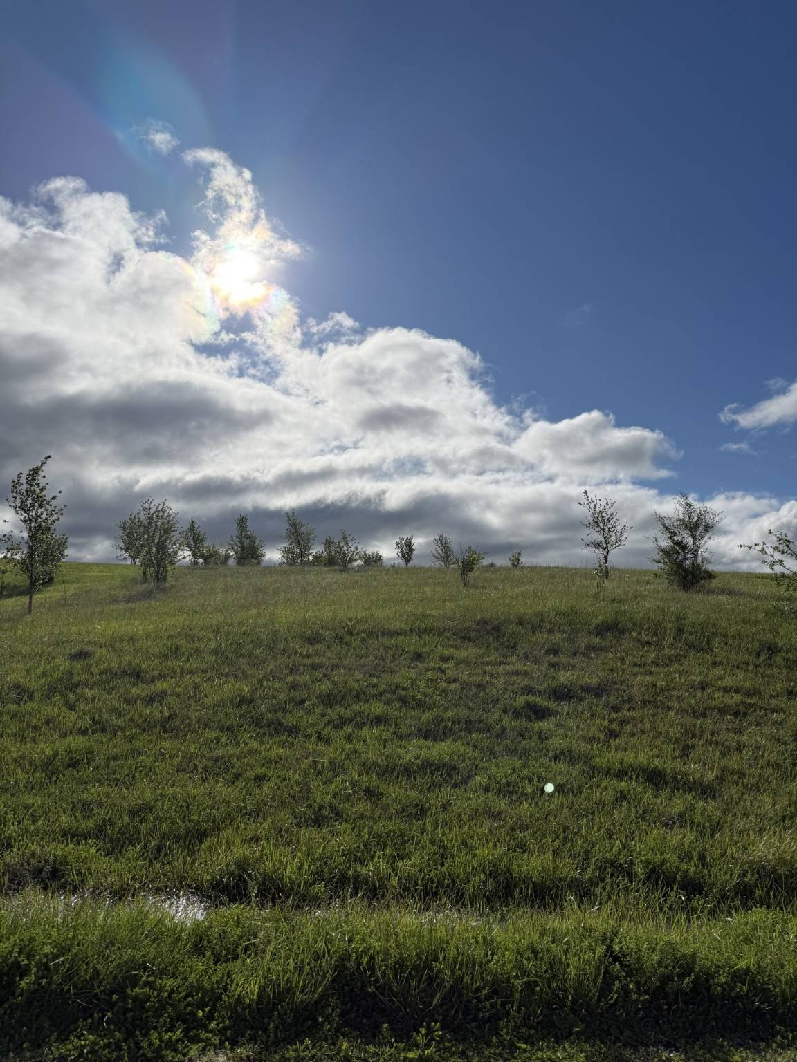 Ellston, IA 50074,Lot 1290 Old Hickory Estates