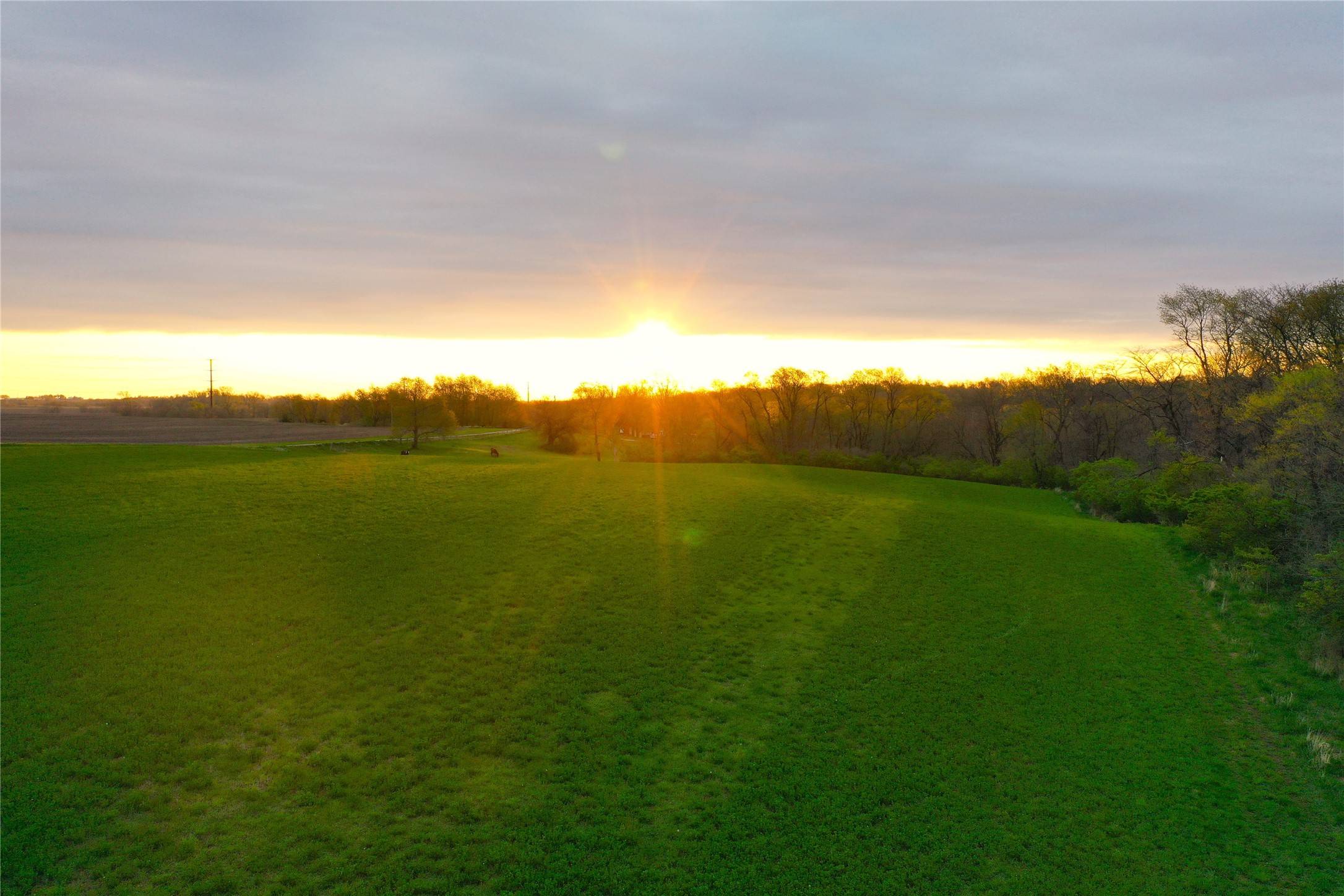 Waukee, IA 50263,26002 V Avenue