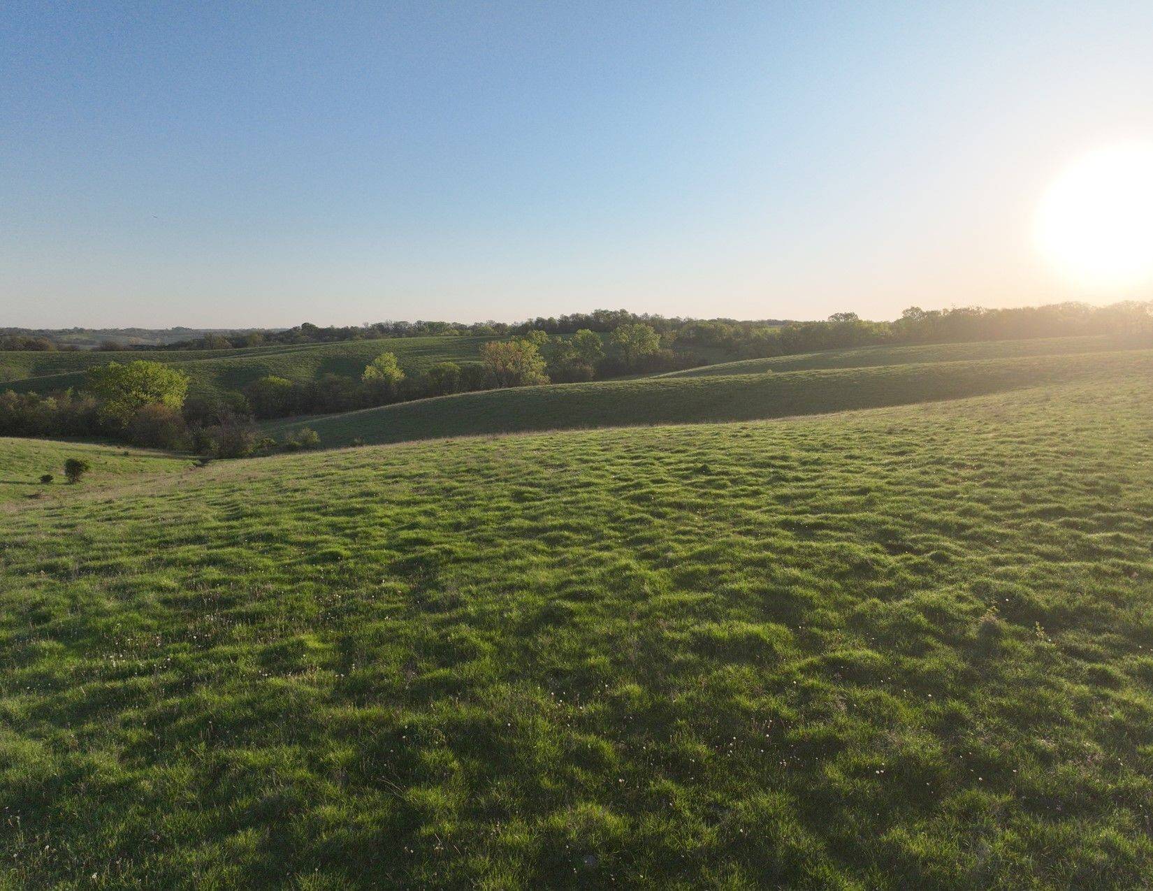 Van Meter, IA 50261,00 Timber Ridge Avenue